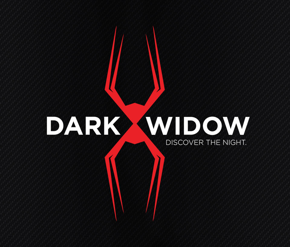 BrandingDesign-LoganUtahGraphicDesign-HeidiRandallStudios-DarkWidow-2.jpg