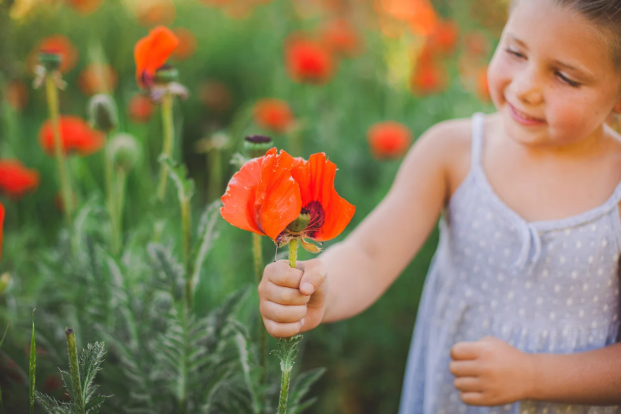 BLOG-LoganUtahFamilyPhotography-HeidiRandallStudios-Poppies-4.jpg