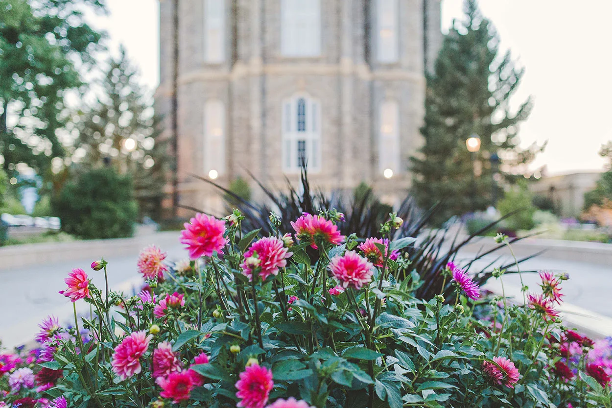 BLOG-LoganUtahWeddingPhotography-HeidiRandallStudios-Shani+Phil-28.jpg