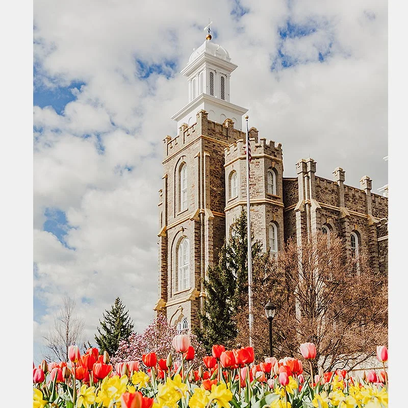 04-LoganTempleTulips-Frame-2.jpg