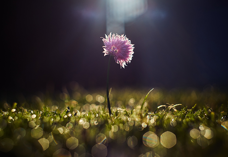 Photo by Zoltan Tasi on Unsplash