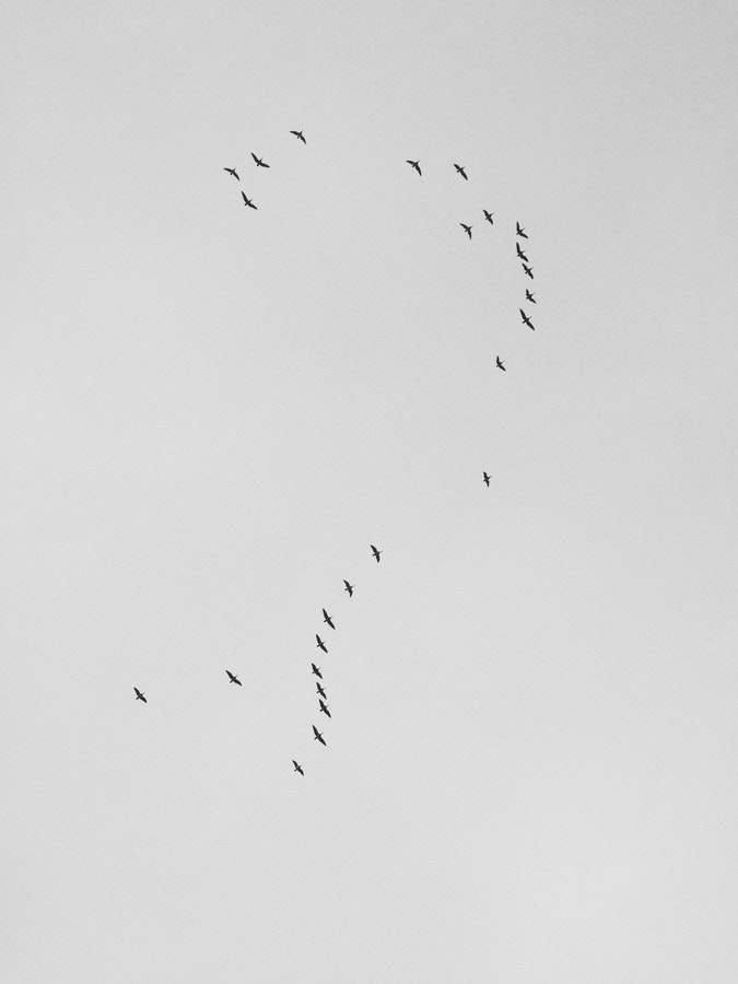 Photo by Ilkka Kärkkäinen on Unsplash