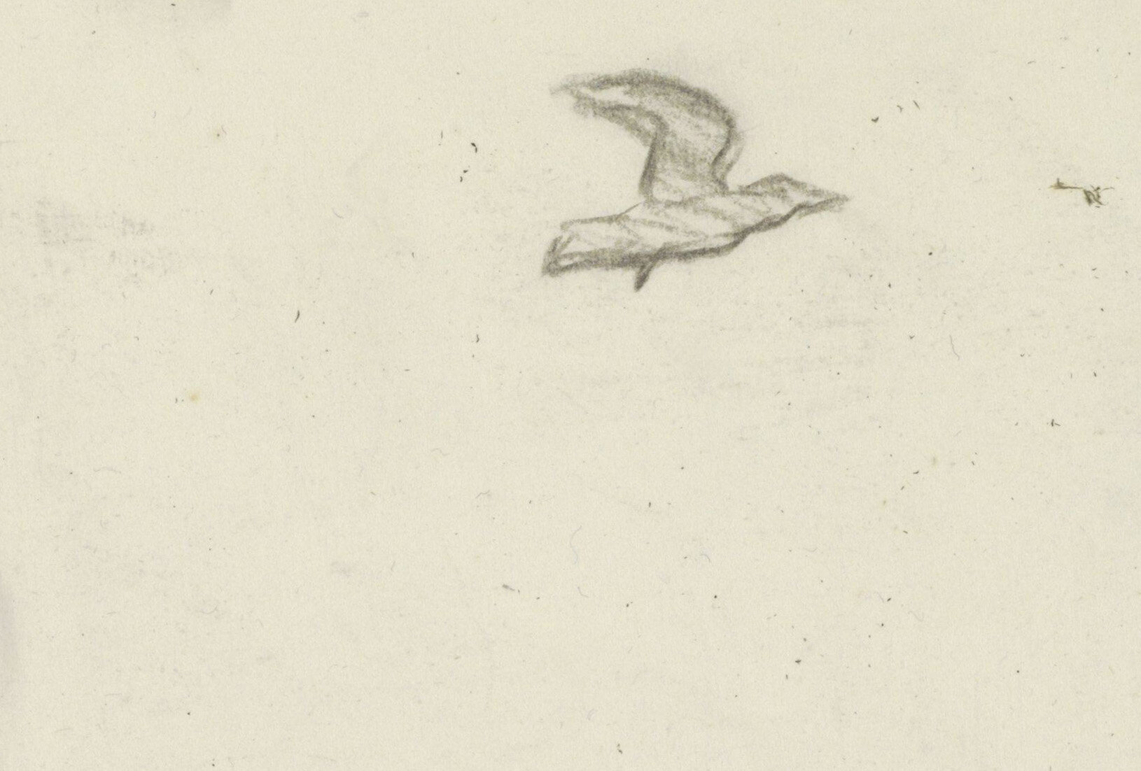 Bird in Flight , by Willem Witsen (Rijksmuseum Studio)