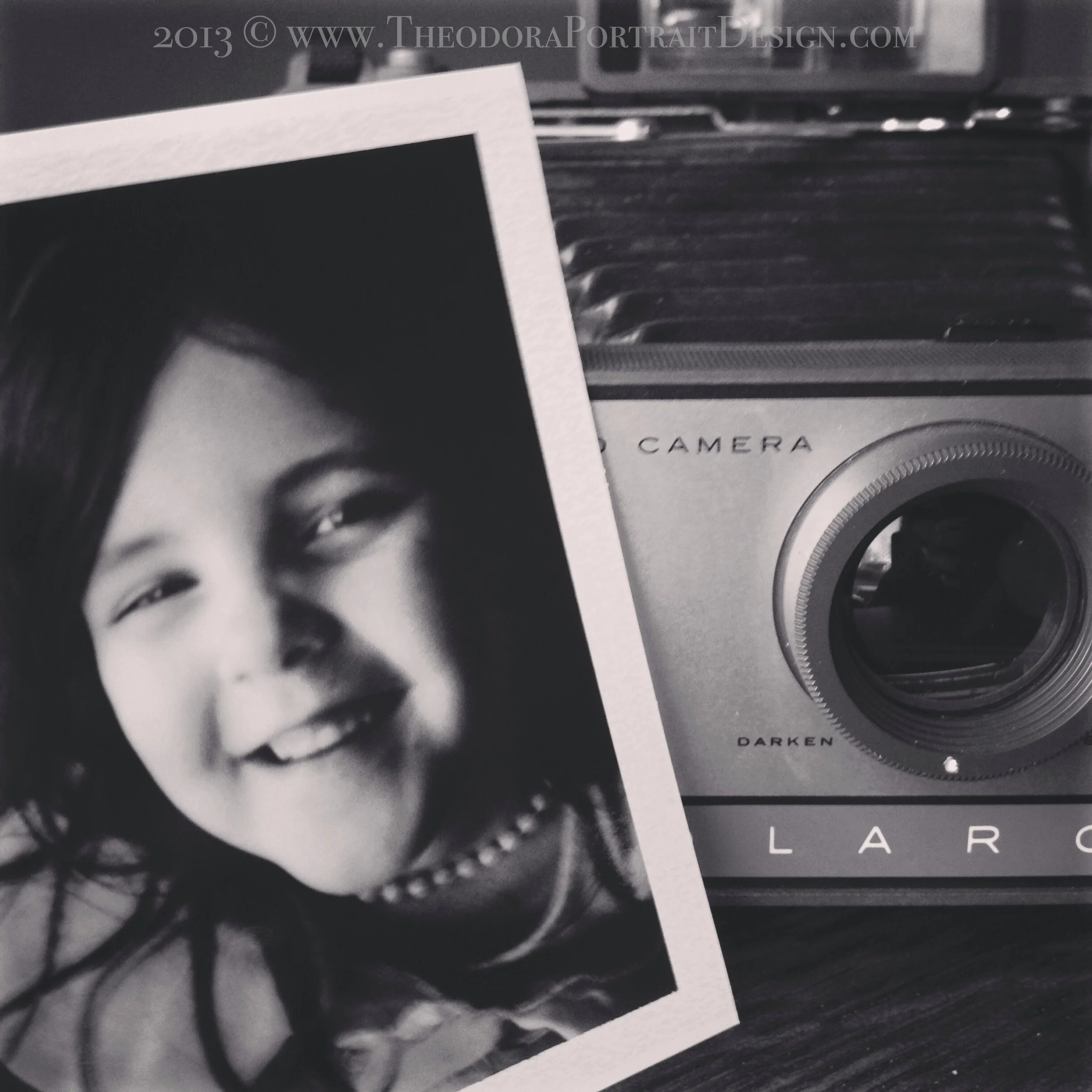 it's alive! reviving a vintage Polaroid