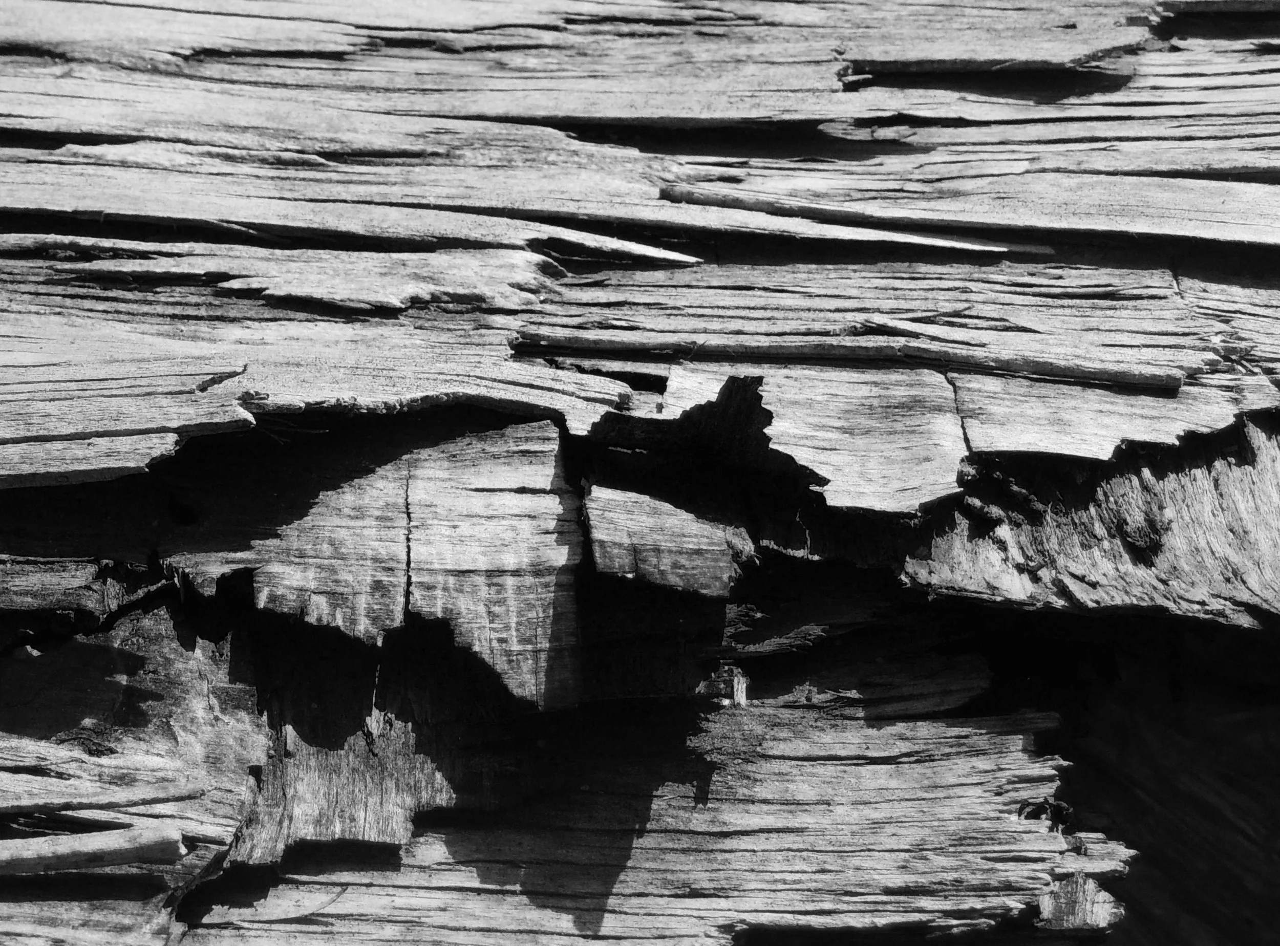 wood2.jpg