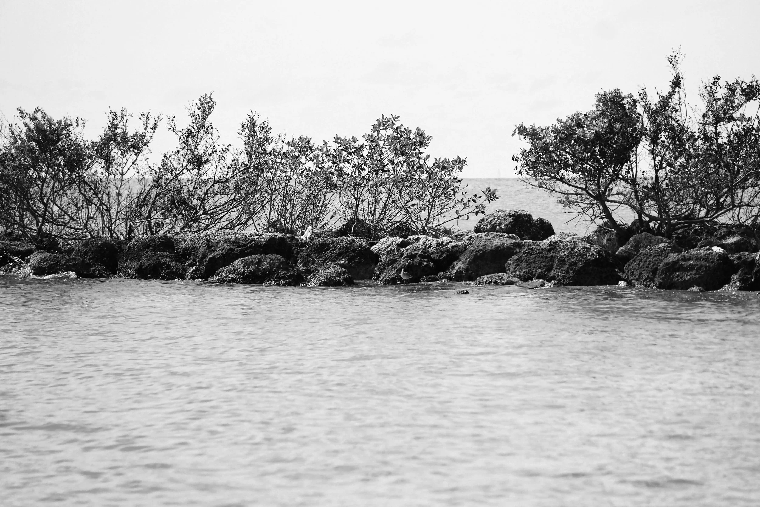 Black and White Key West Ocean Photography