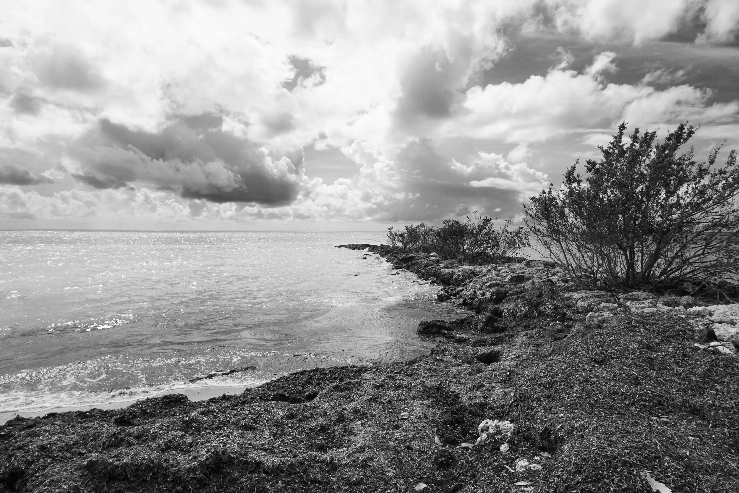 black_and_white_key_west_photography.jpg