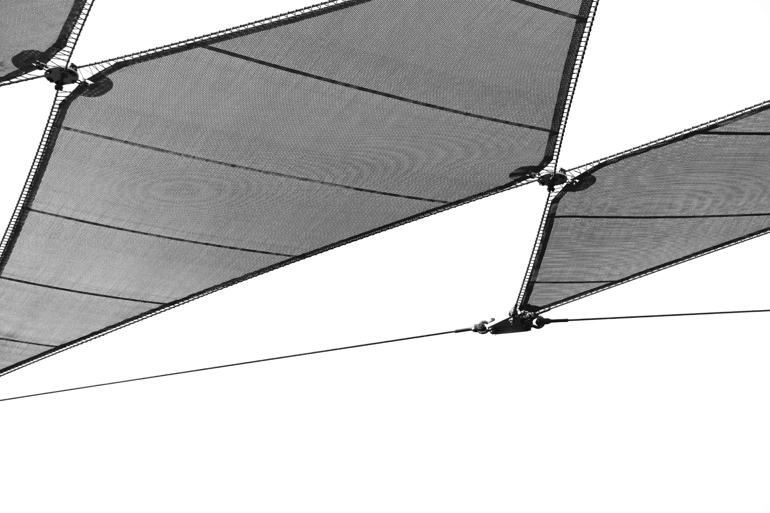 Disney World Photograph