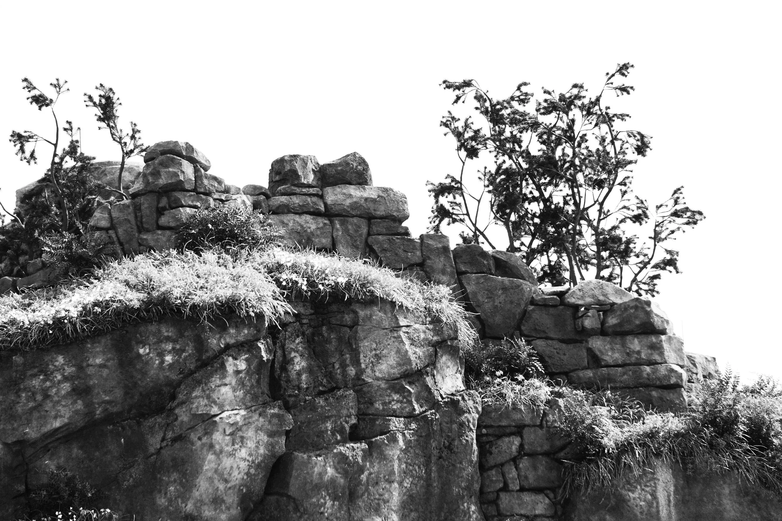 Abstract Disney Land Photography