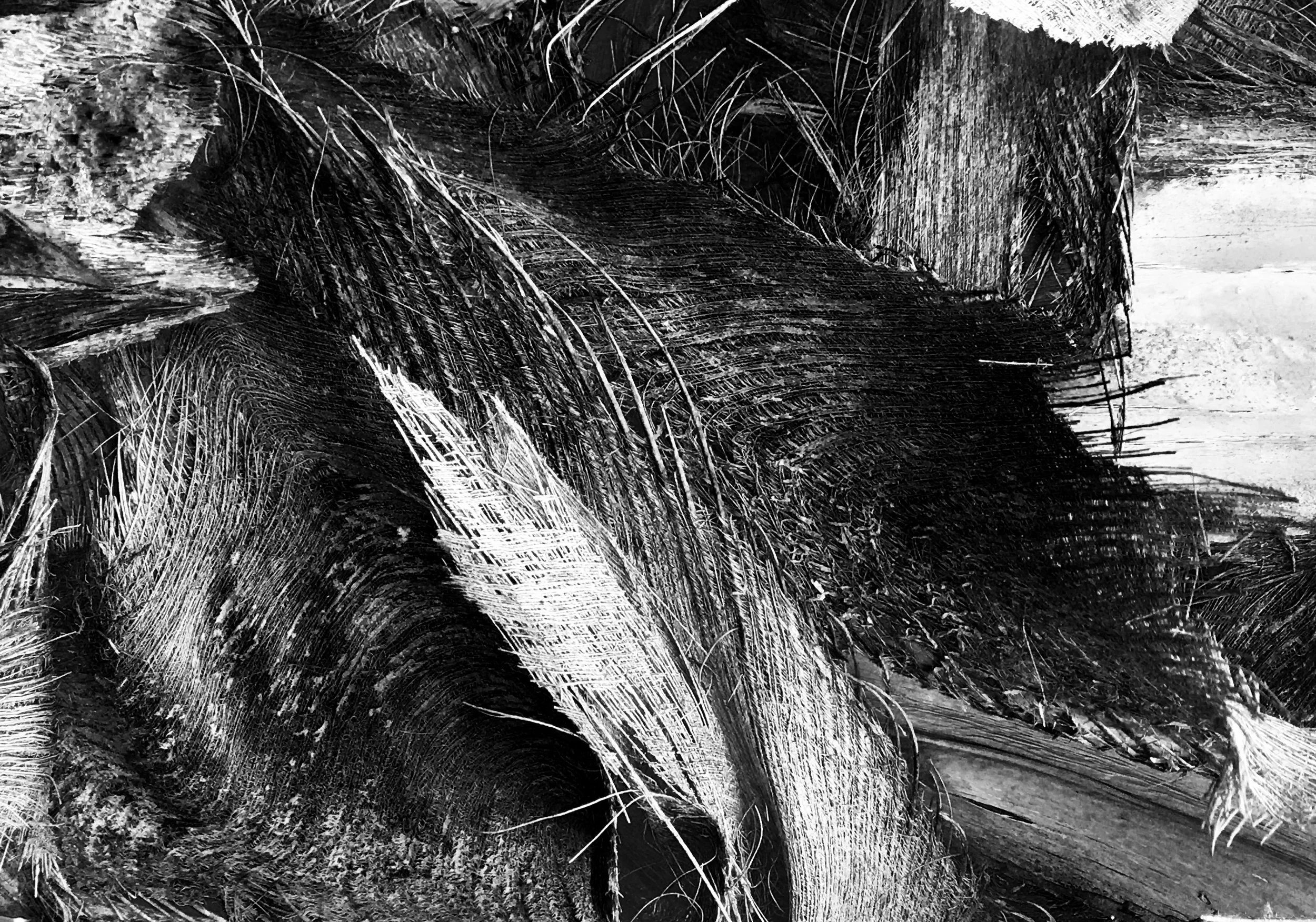 Abstract Nature Texture Photograph