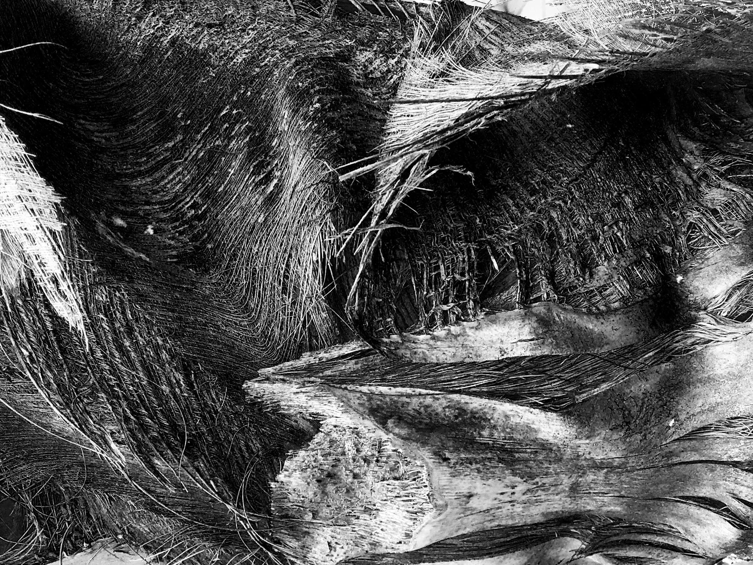 Black And White Texture Photograph