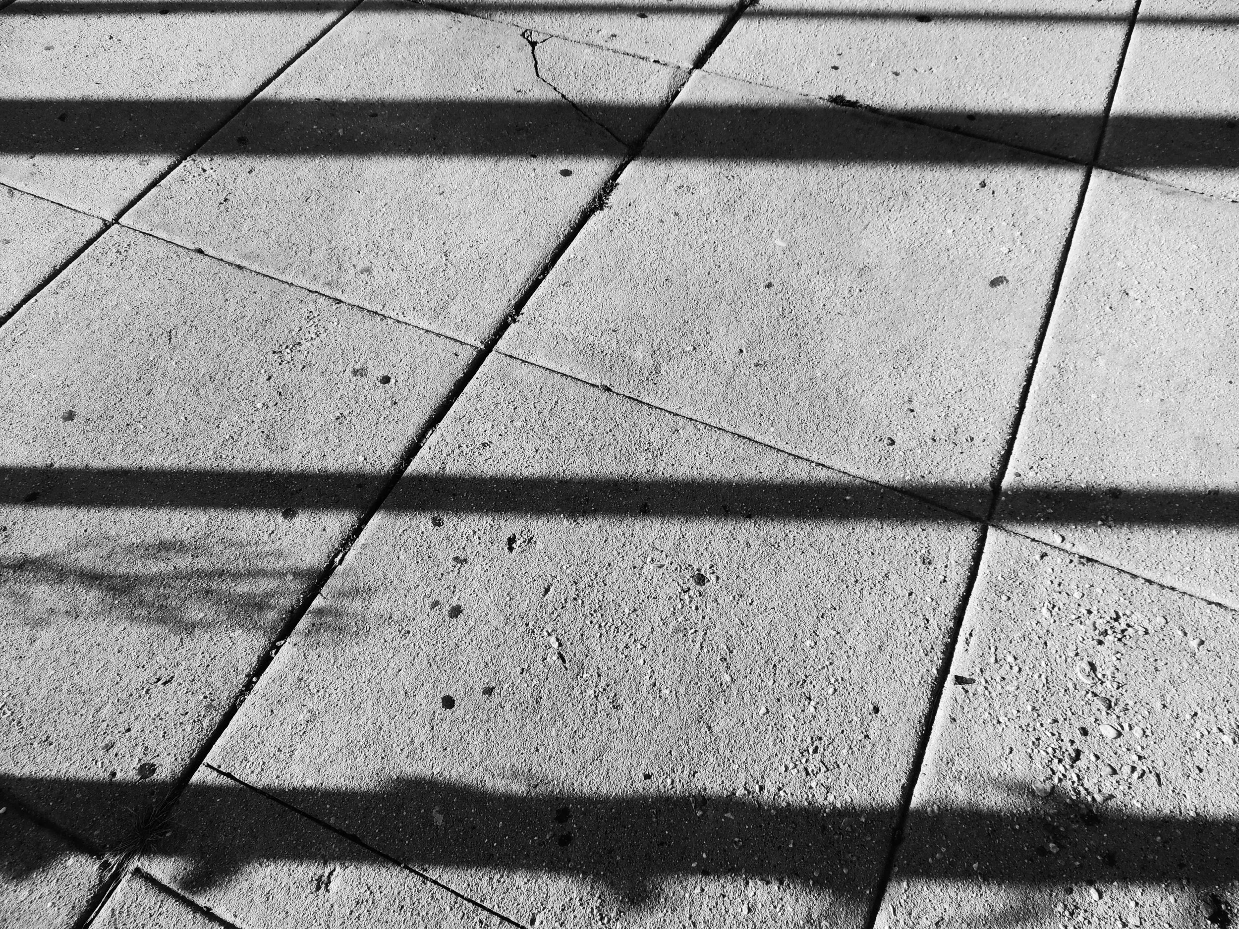 line_photography.jpg