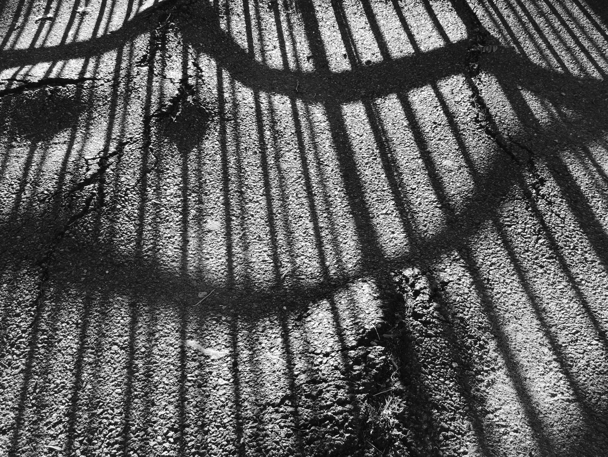 abstract_lines.jpg