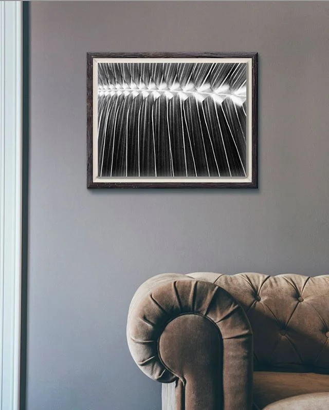 Huge abstract art and a grand comfy couch....what more could you want! Hmmm.... 🤔 #victoriamiritellophotography #blackandwhitephotography #photographyprints #interiordecor