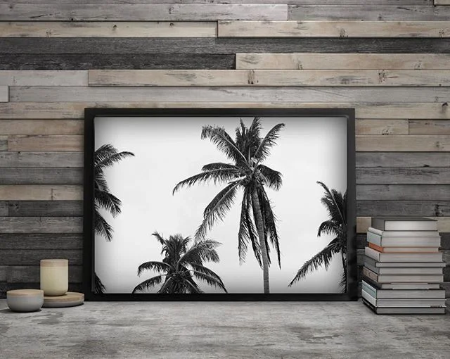 Channeling these palm trees to bring back the sun!! #victoriamiritellophotography #blackandwhitephotography #photographyprints #sweptseries