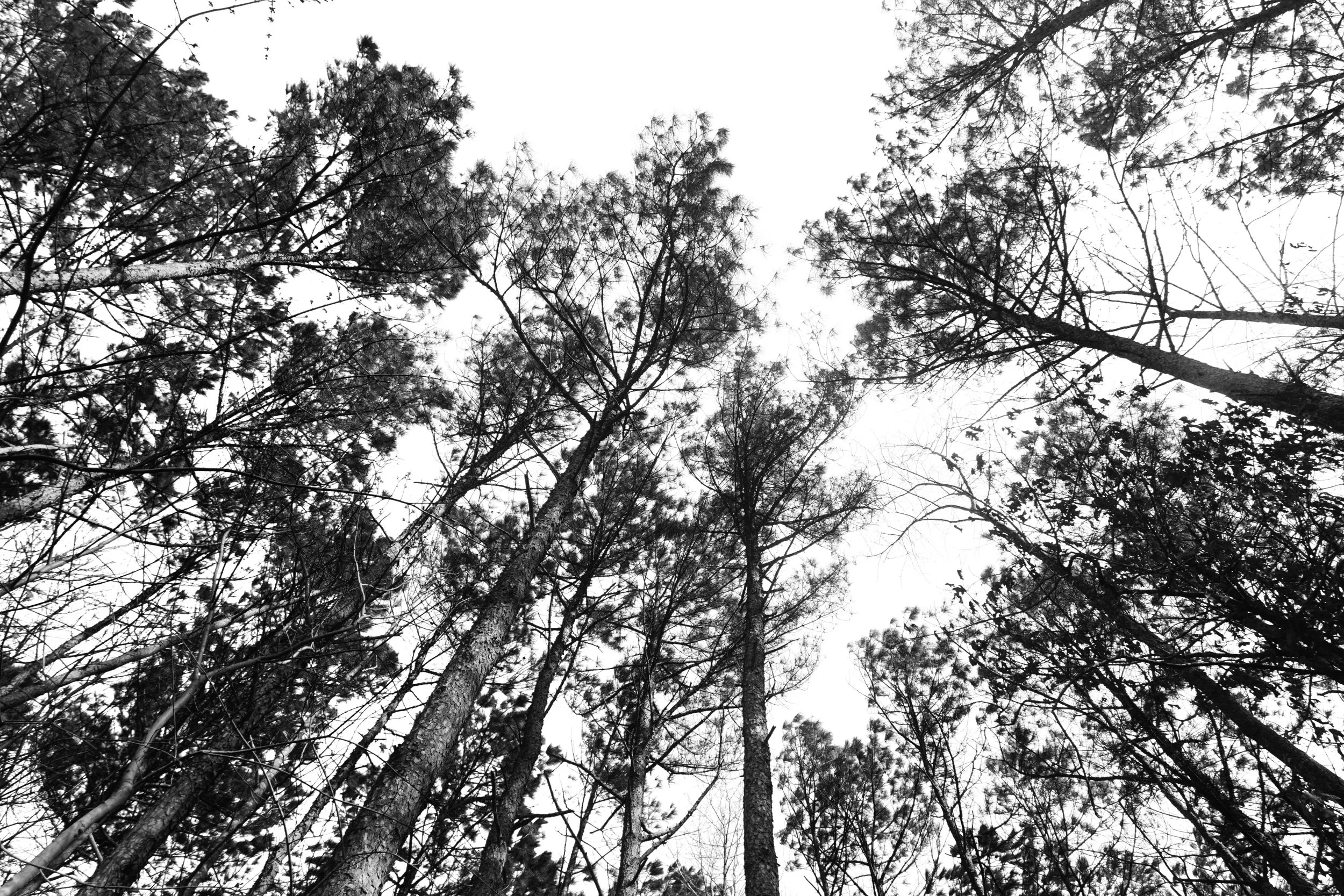 DSC05730-Edit-2 2.JPG