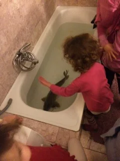 Our pastor's bathtub, carp, and kids. 