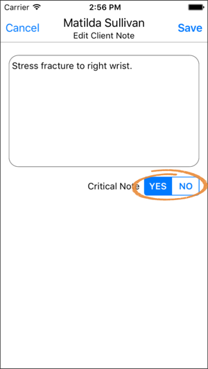 app-clinical-notes-list-with-general-note-annotated.png