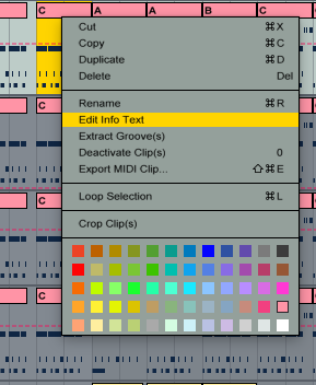 Right click on the coloured band of a Clip and select 'Edit Text Info.'