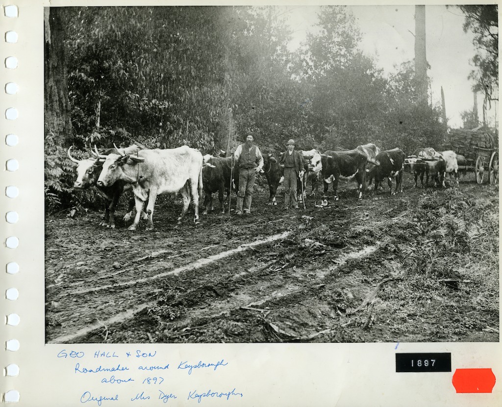 Geo Hall & Sons, Keysborough Roadmaker - 1897