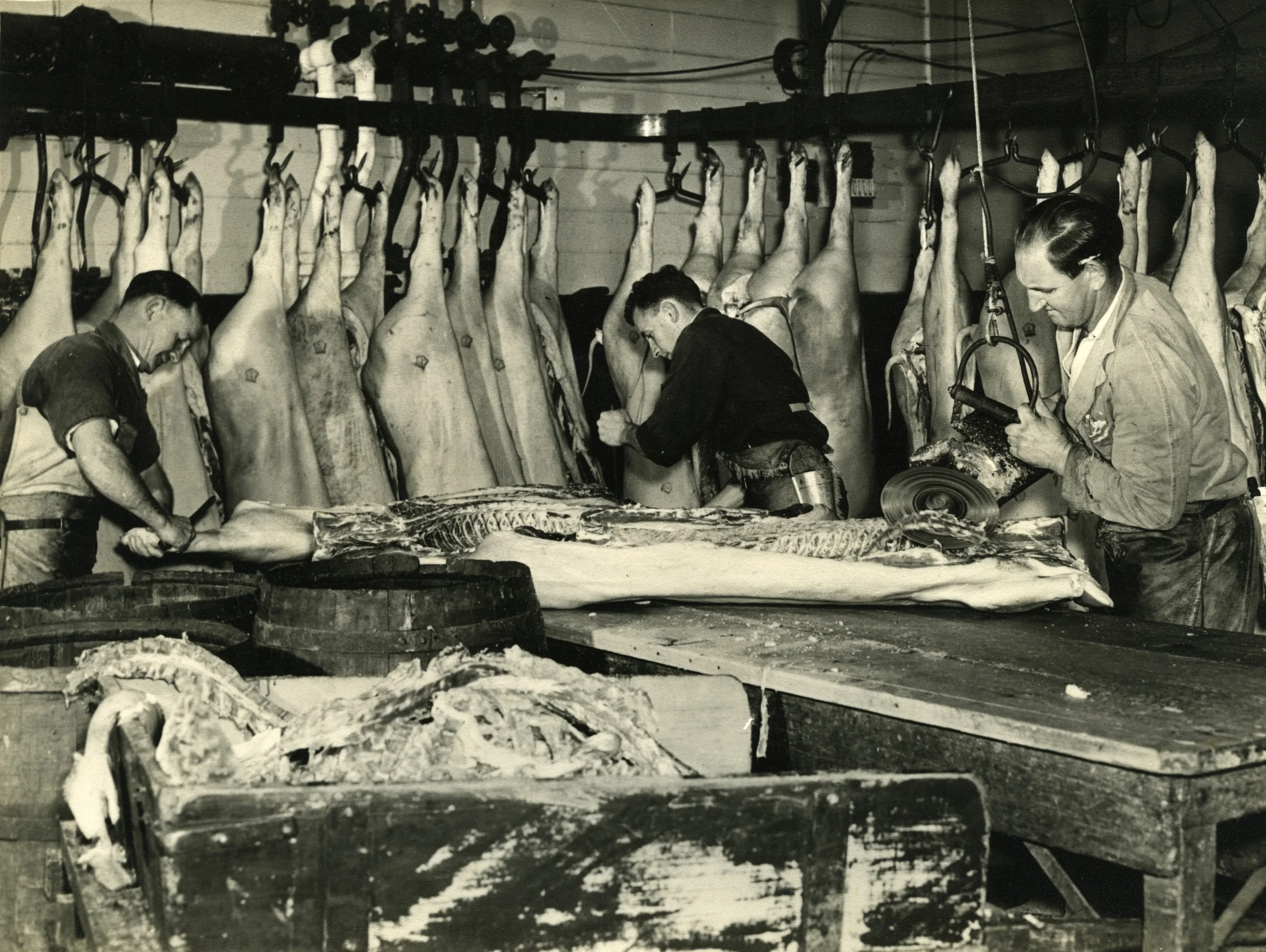 0024 Dandy Hams 1950's.jpg