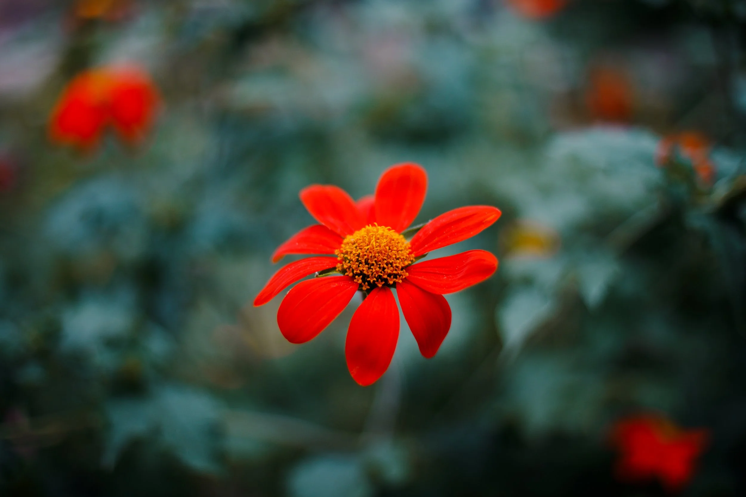 004A9126.jpg
