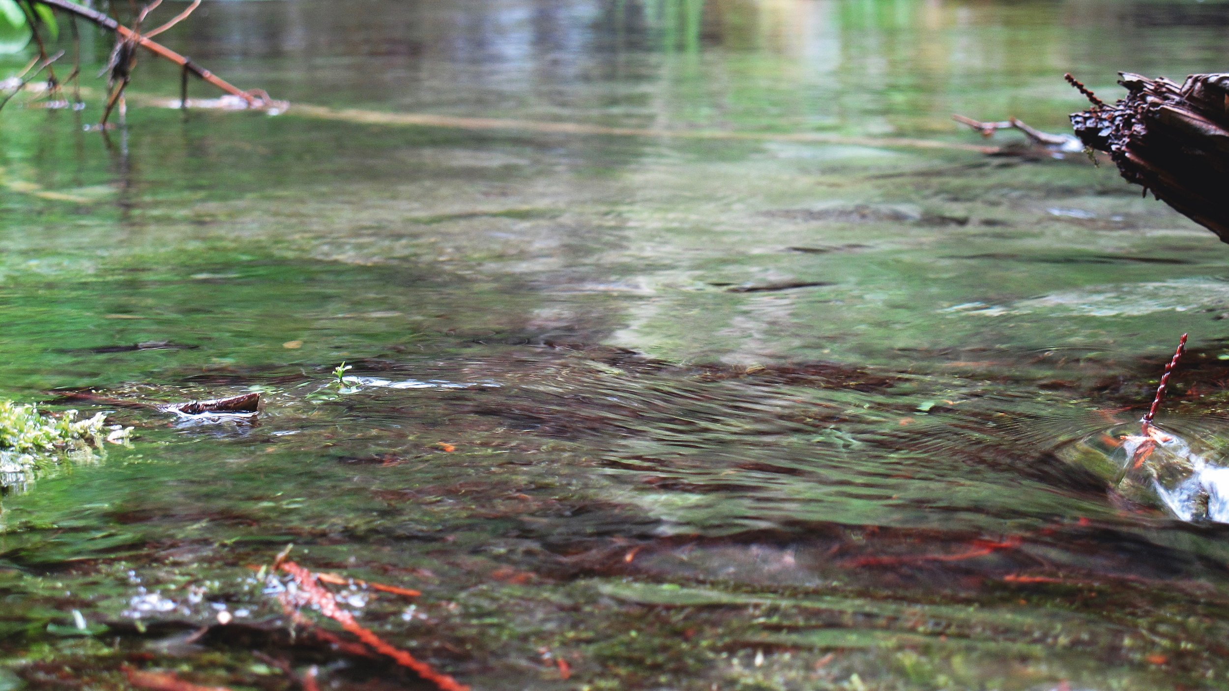 IMG_7773 17x30 final.jpeg