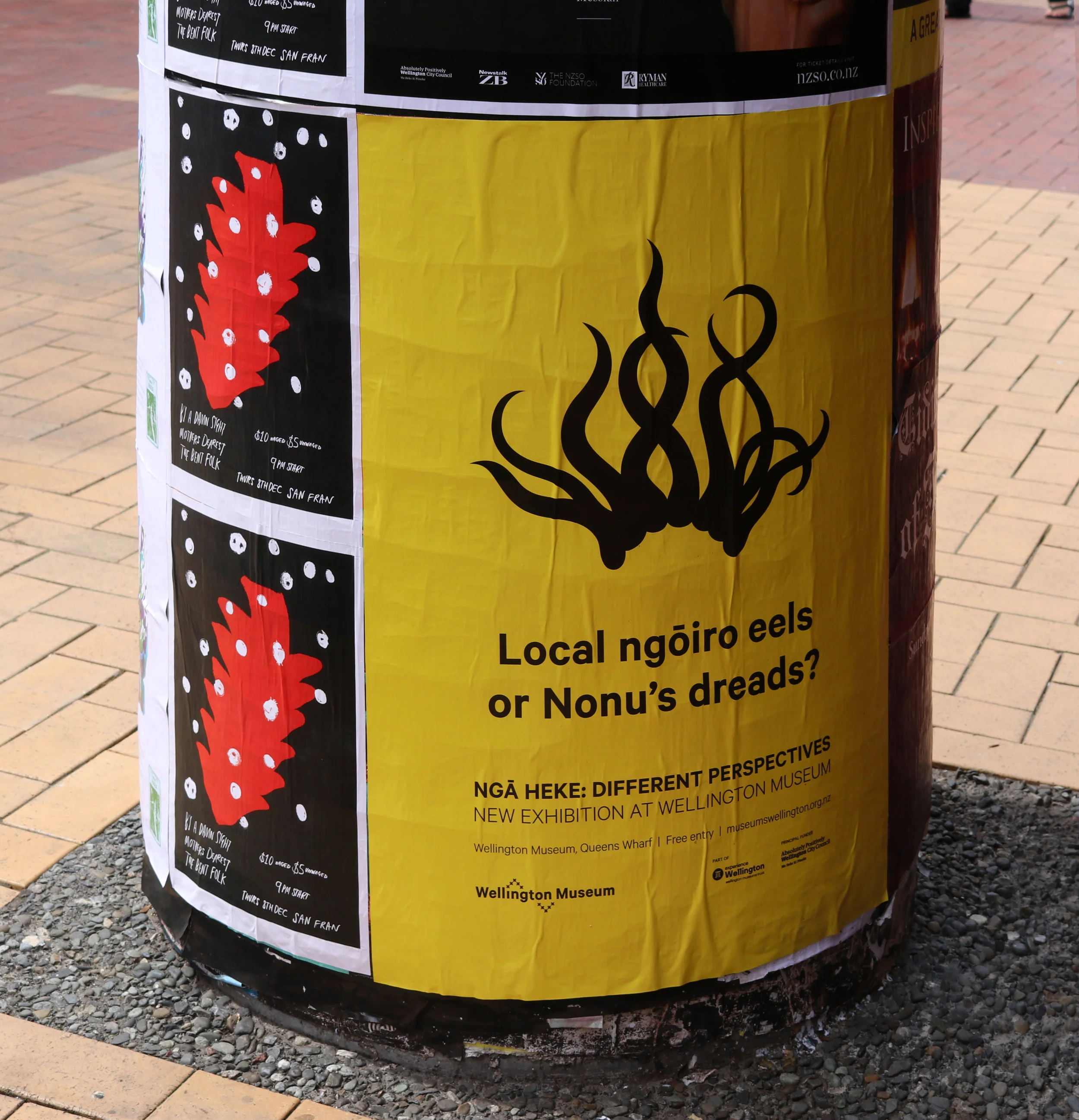 Nga Heke launch campaign