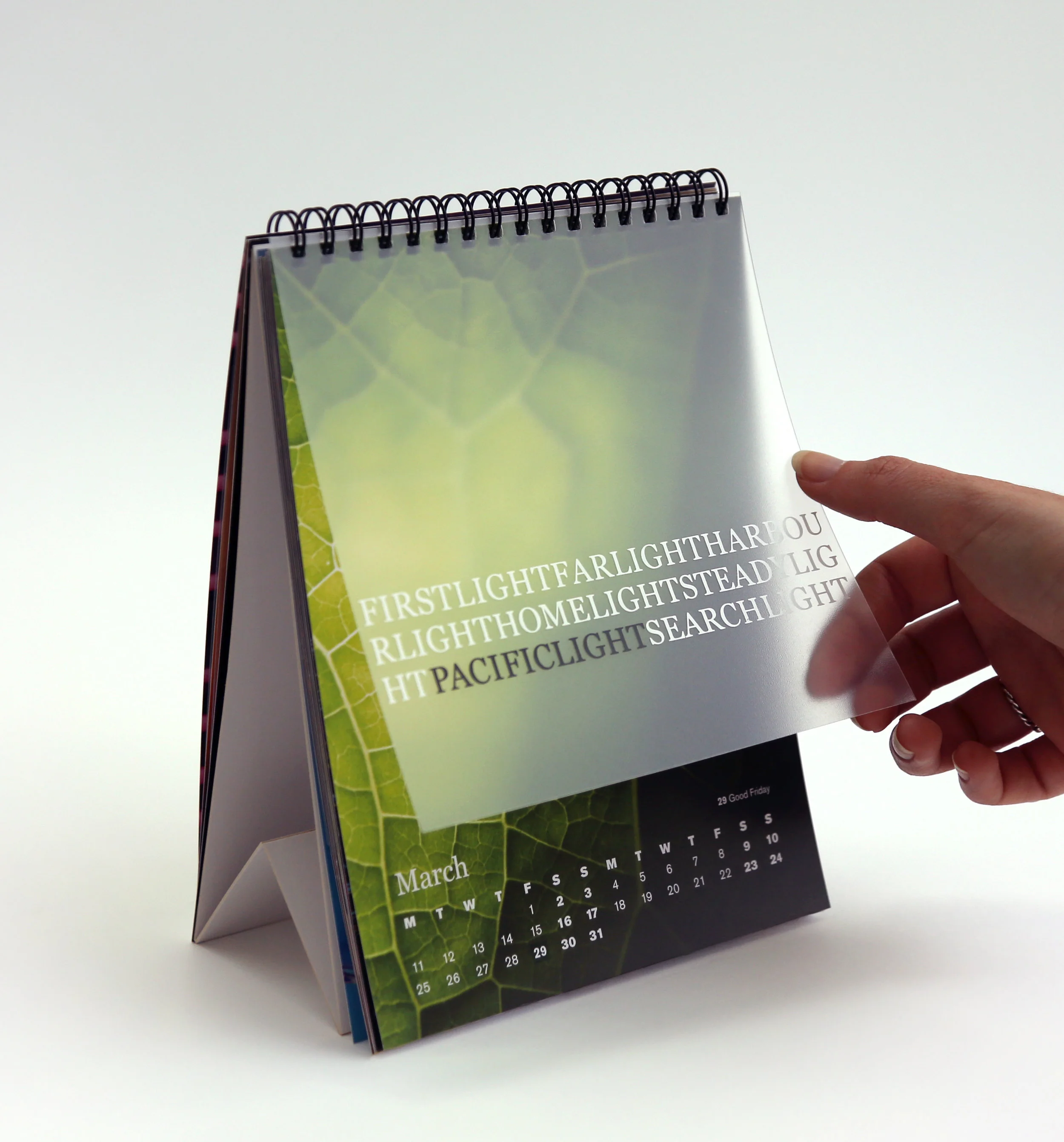 Royal Society of New Zealand brand refresh