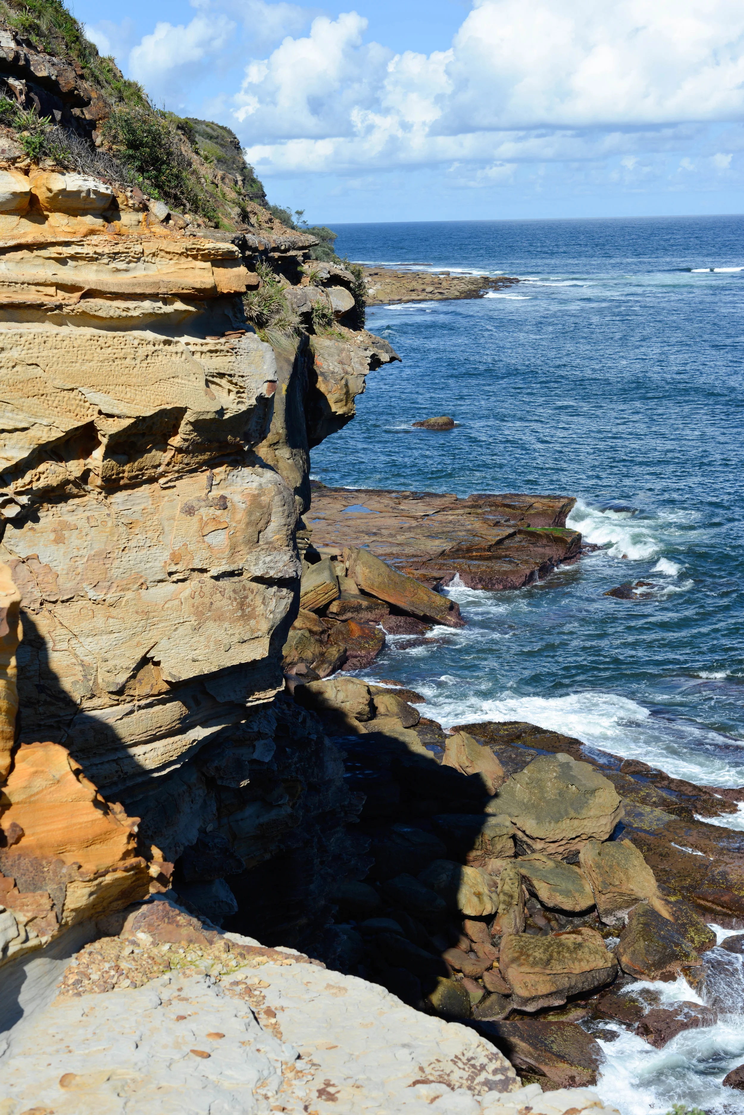 DSC_6195.jpg
