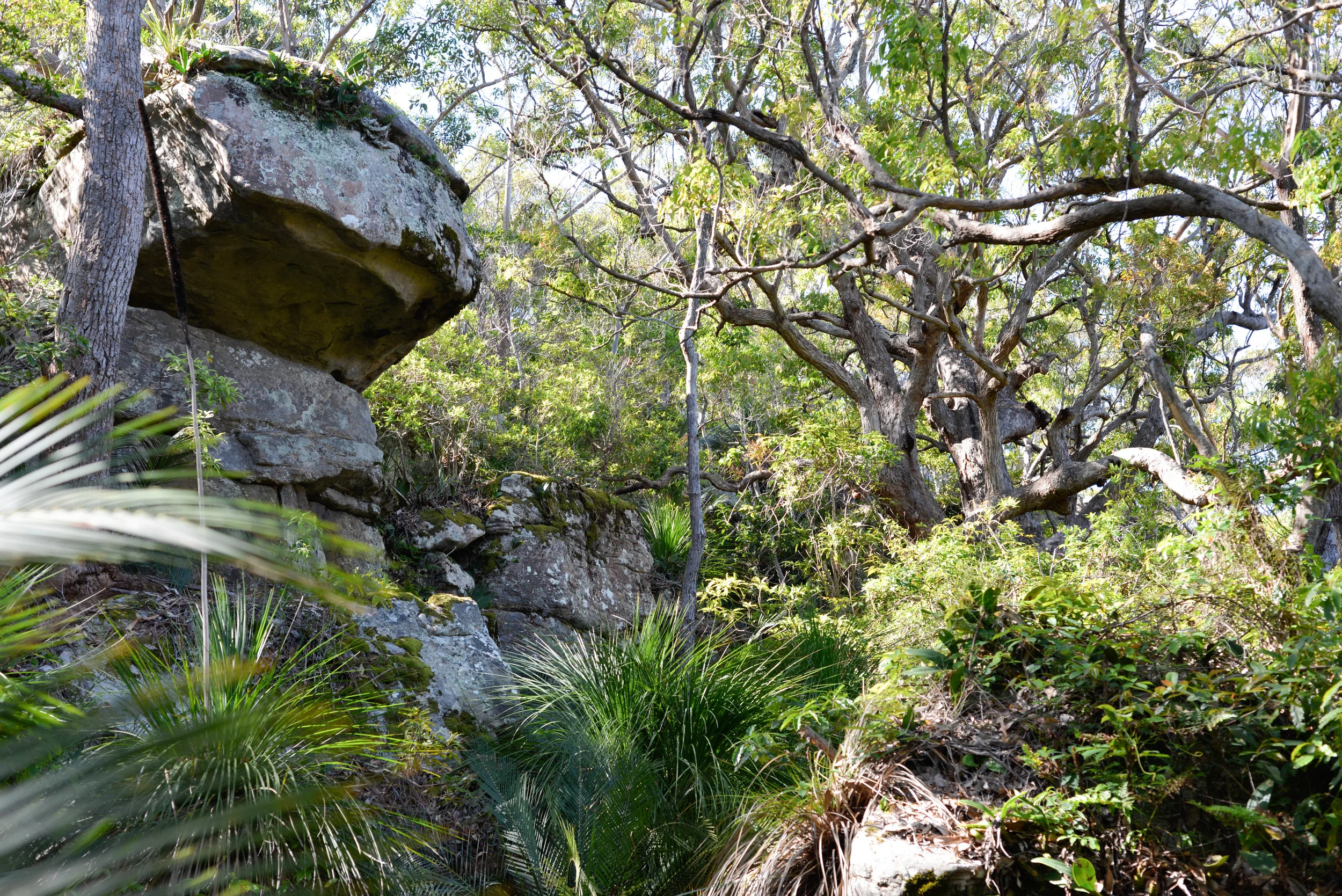 DSC_6169.jpg