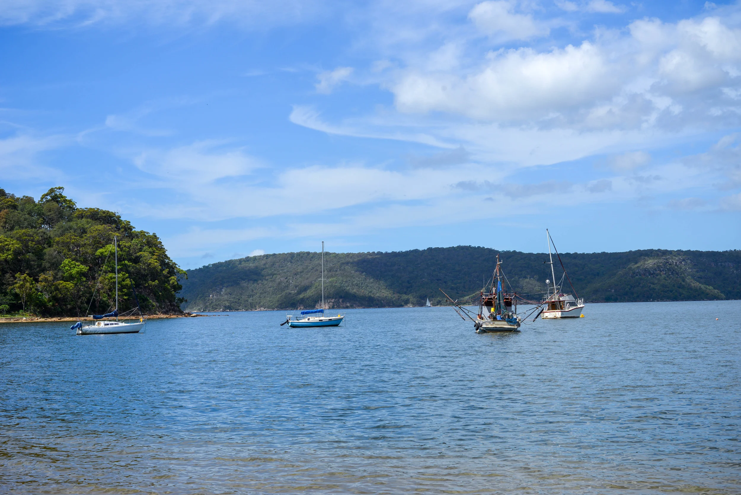 DSC_6384.jpg