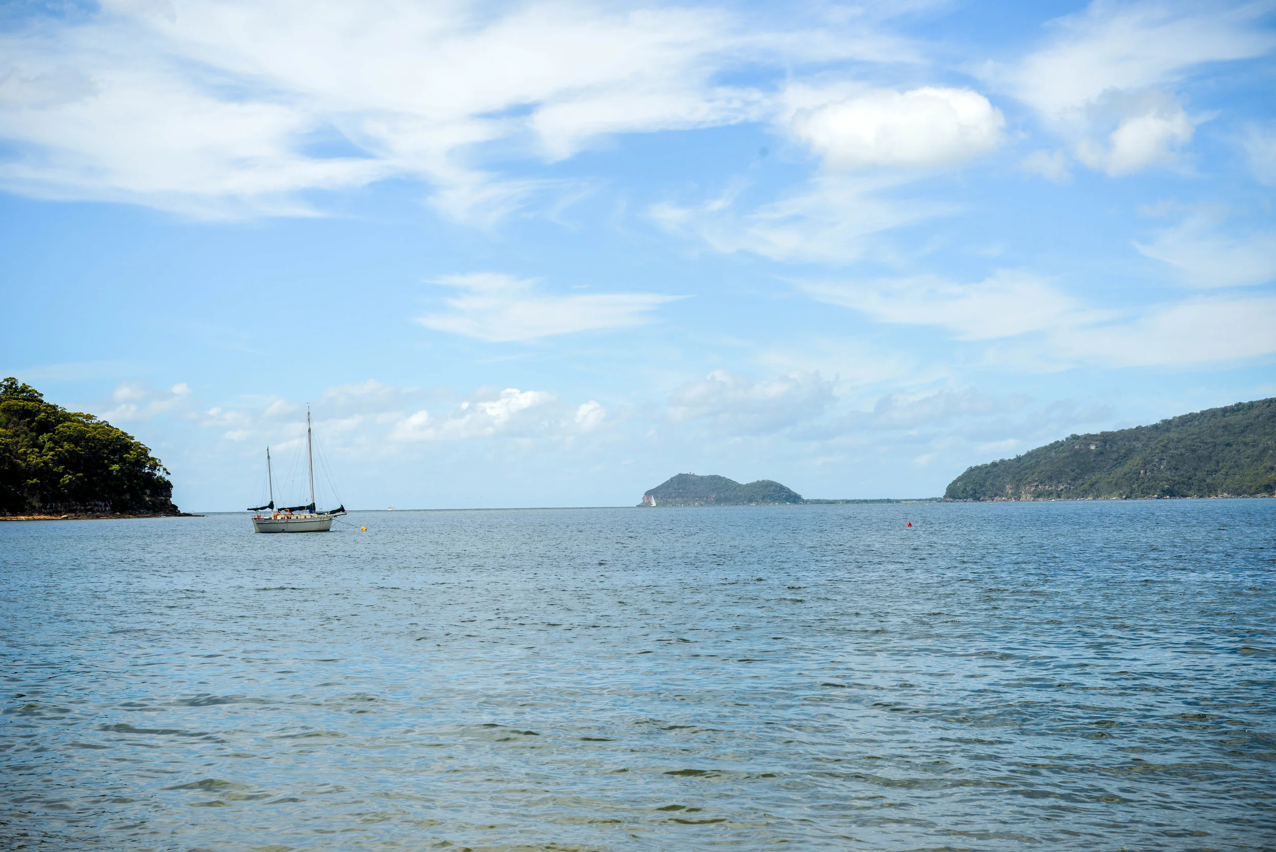 DSC_6381.jpg