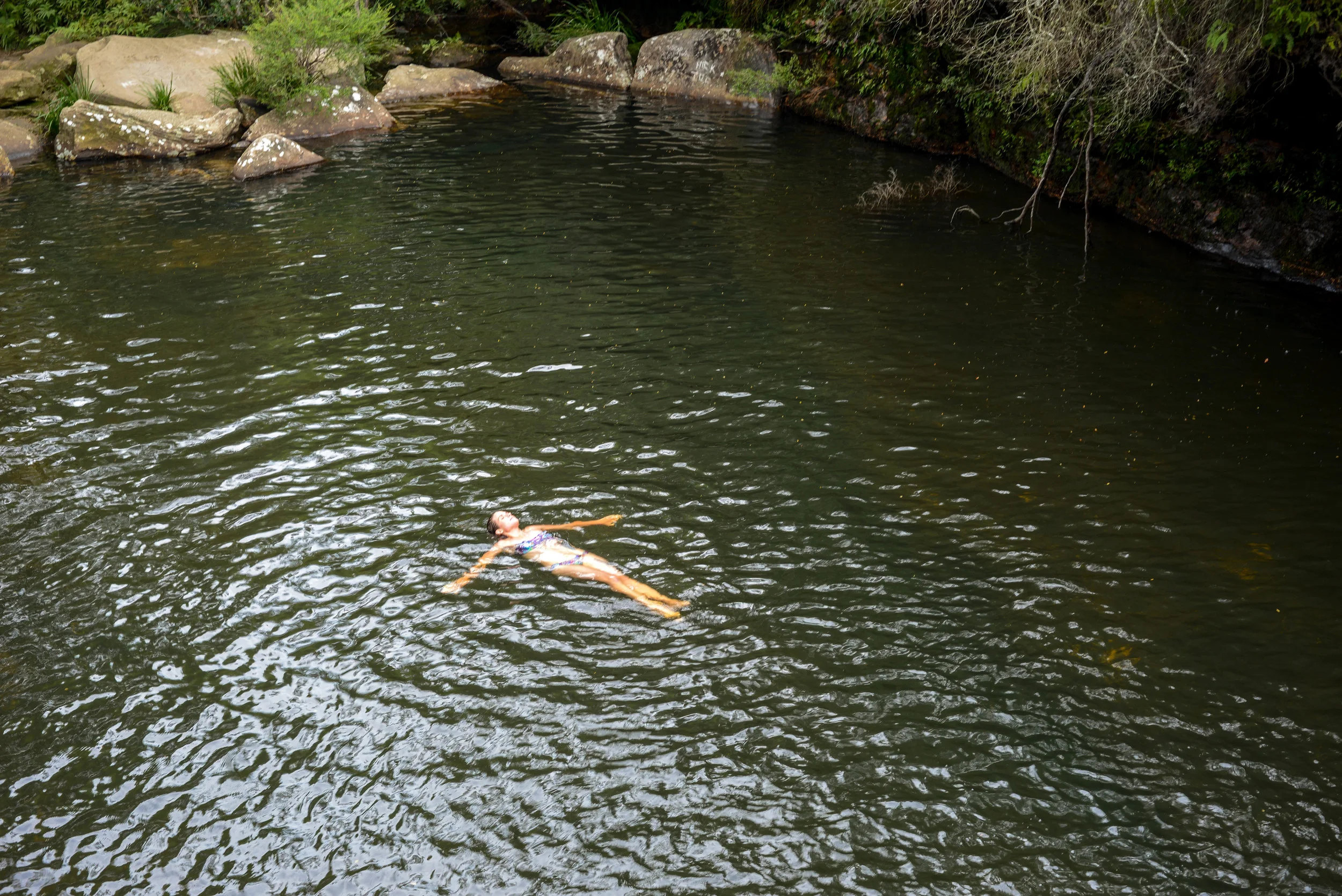 DSC_6849.jpg