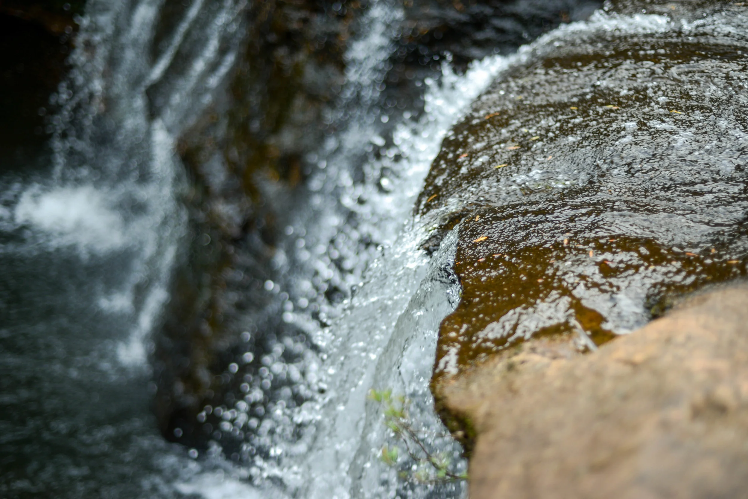 DSC_6833.jpg
