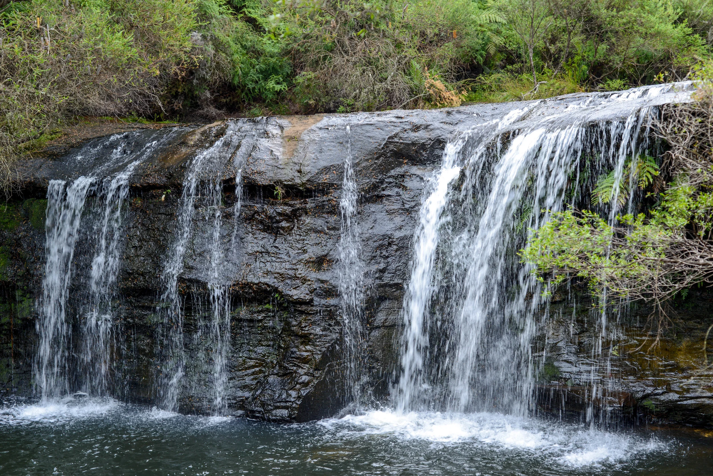 DSC_6855.jpg