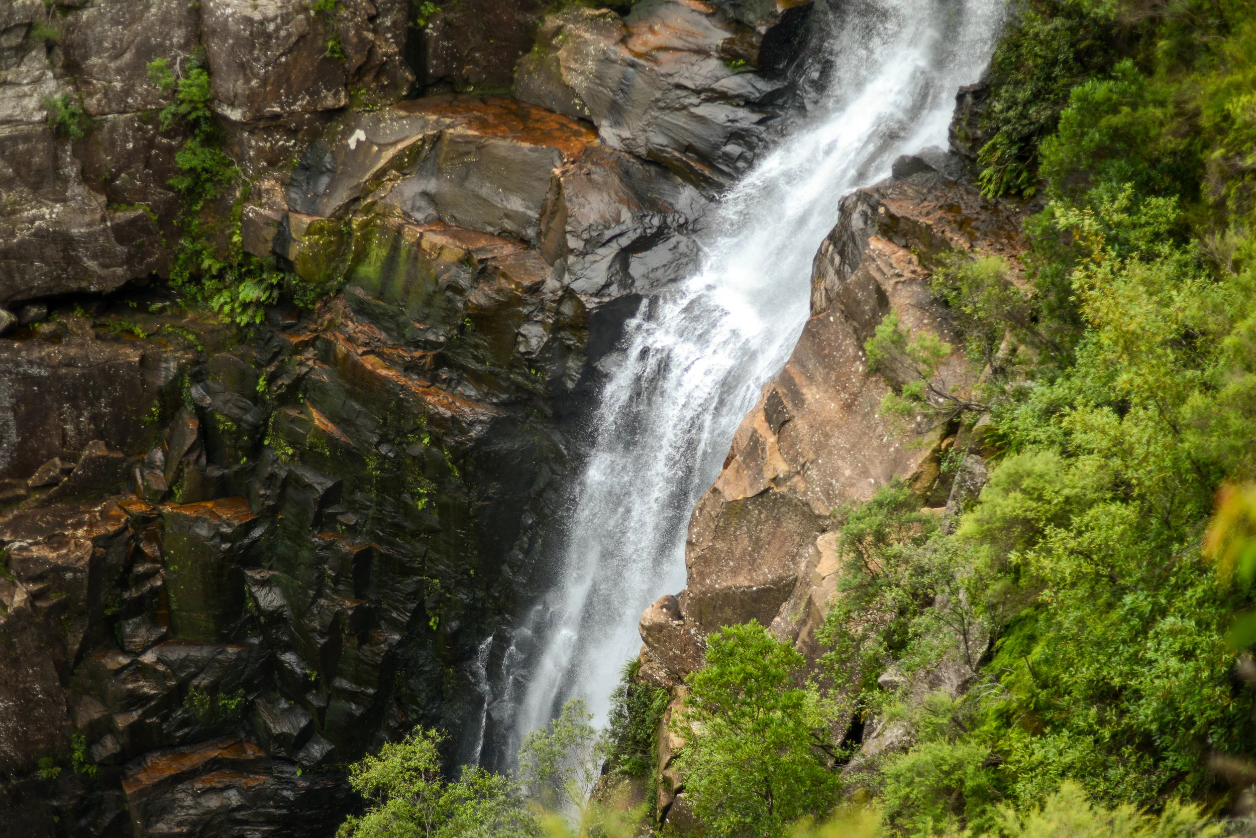 DSC_6767.jpg