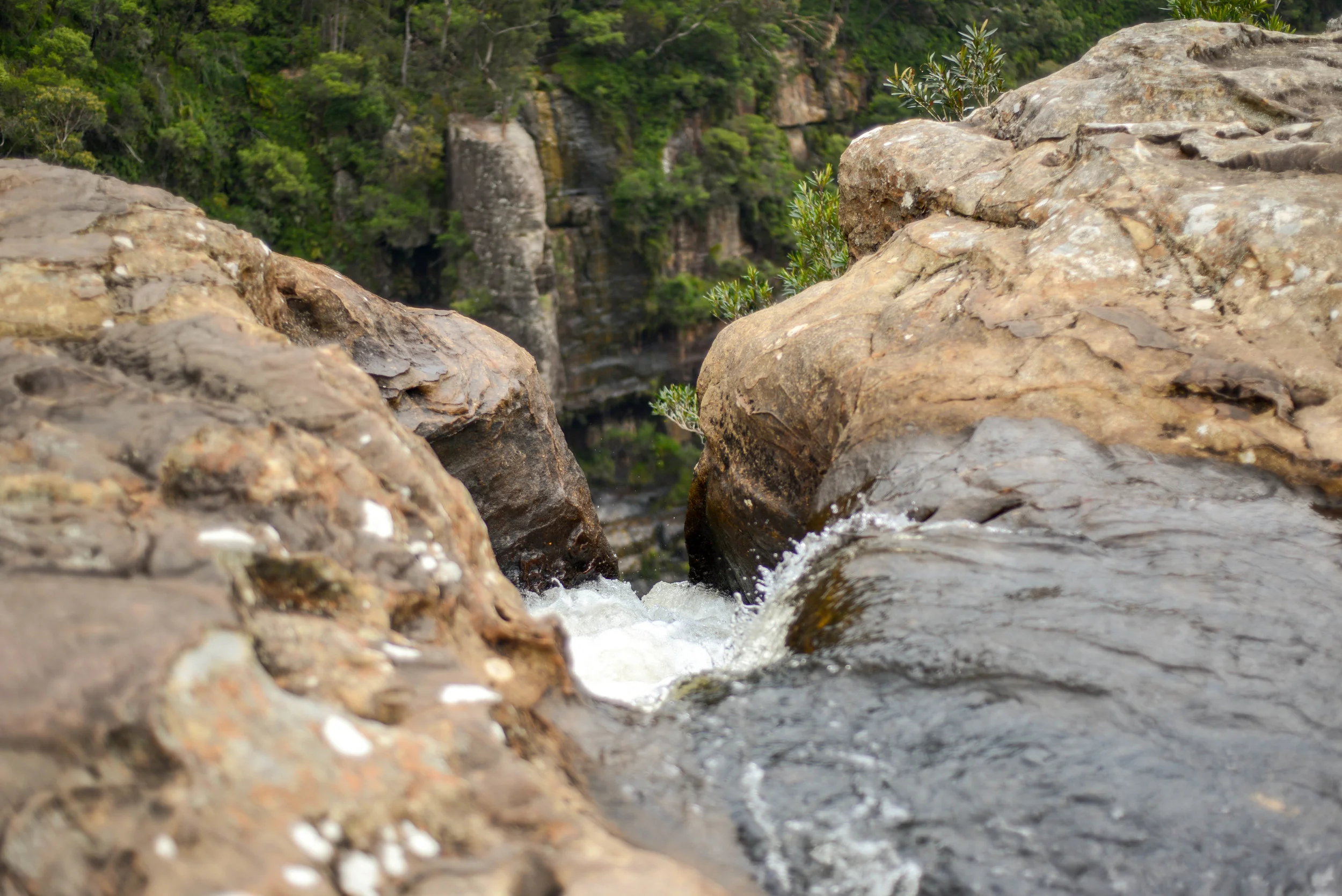 DSC_6806.jpg
