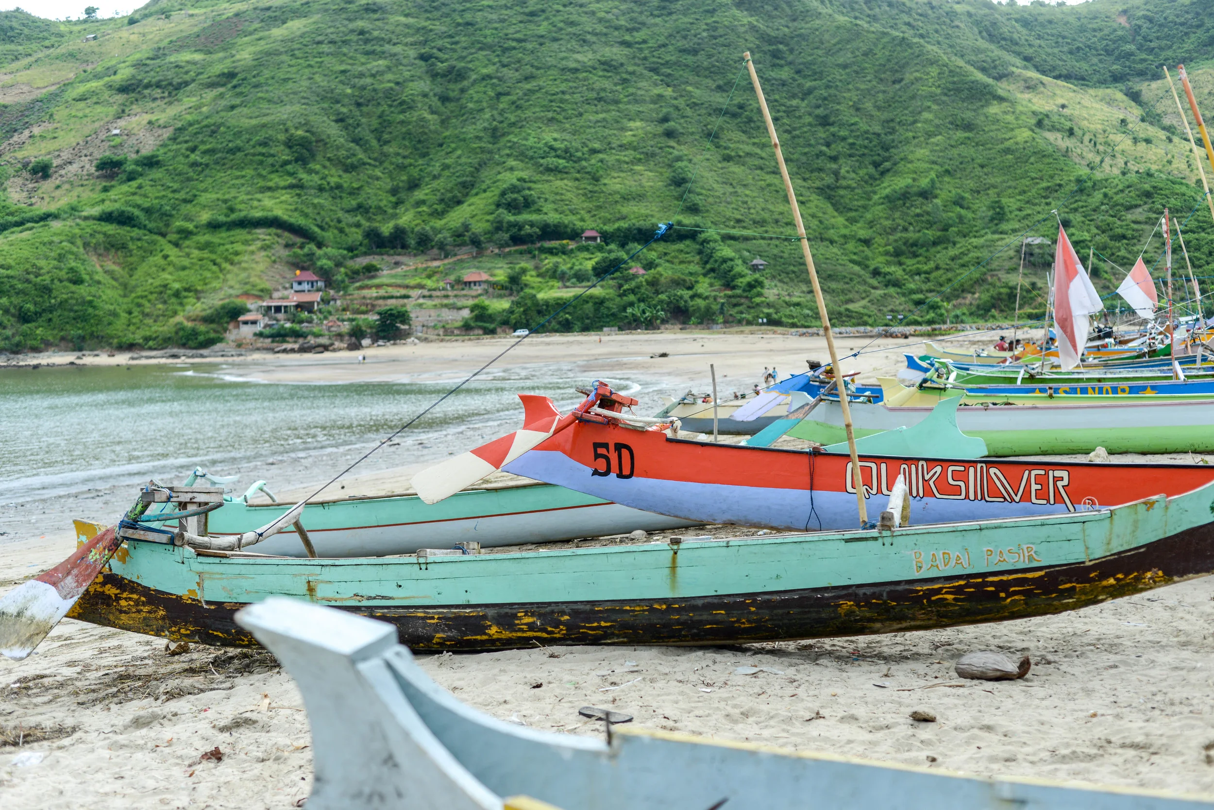 DSC_8334.jpg