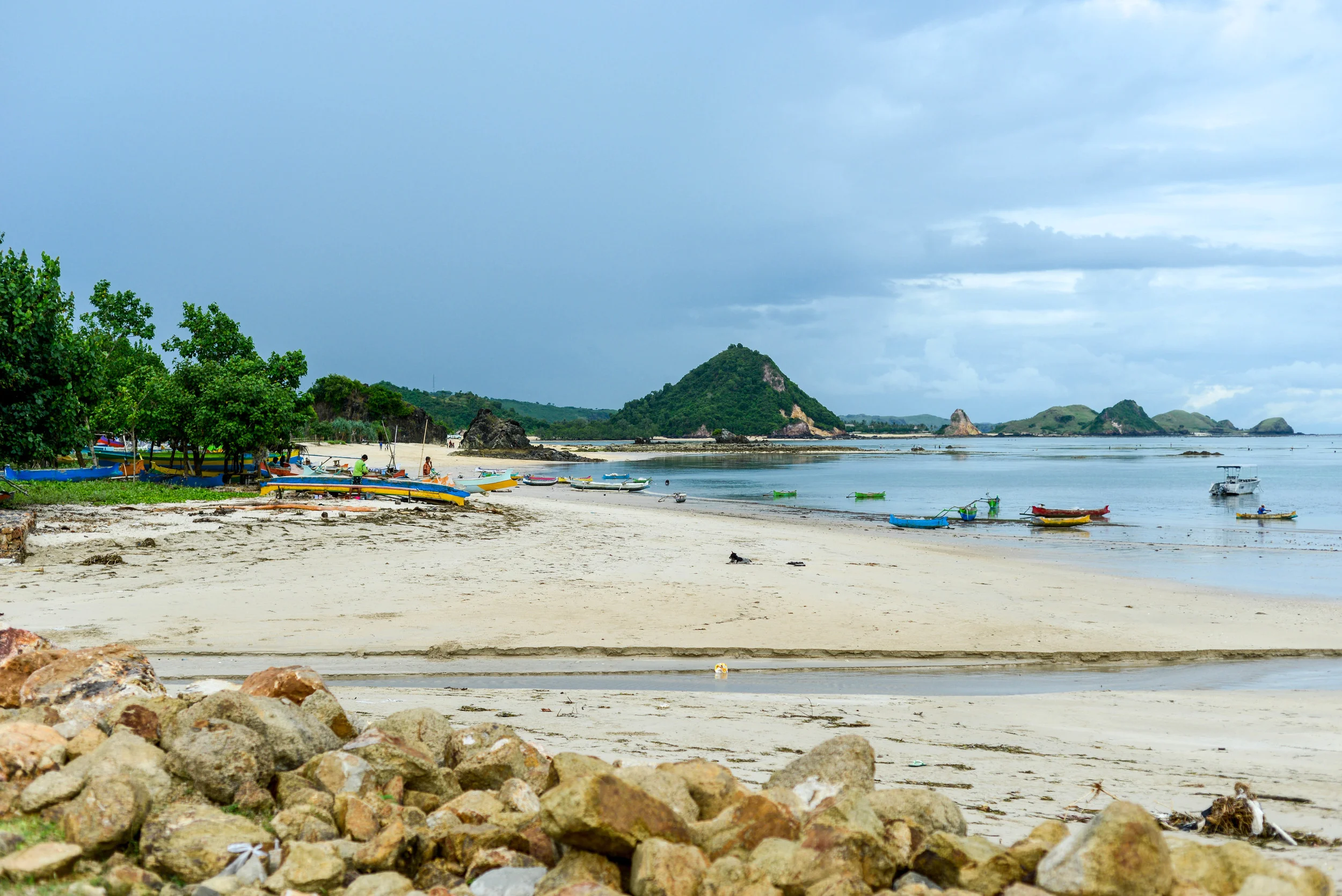 DSC_8323.jpg