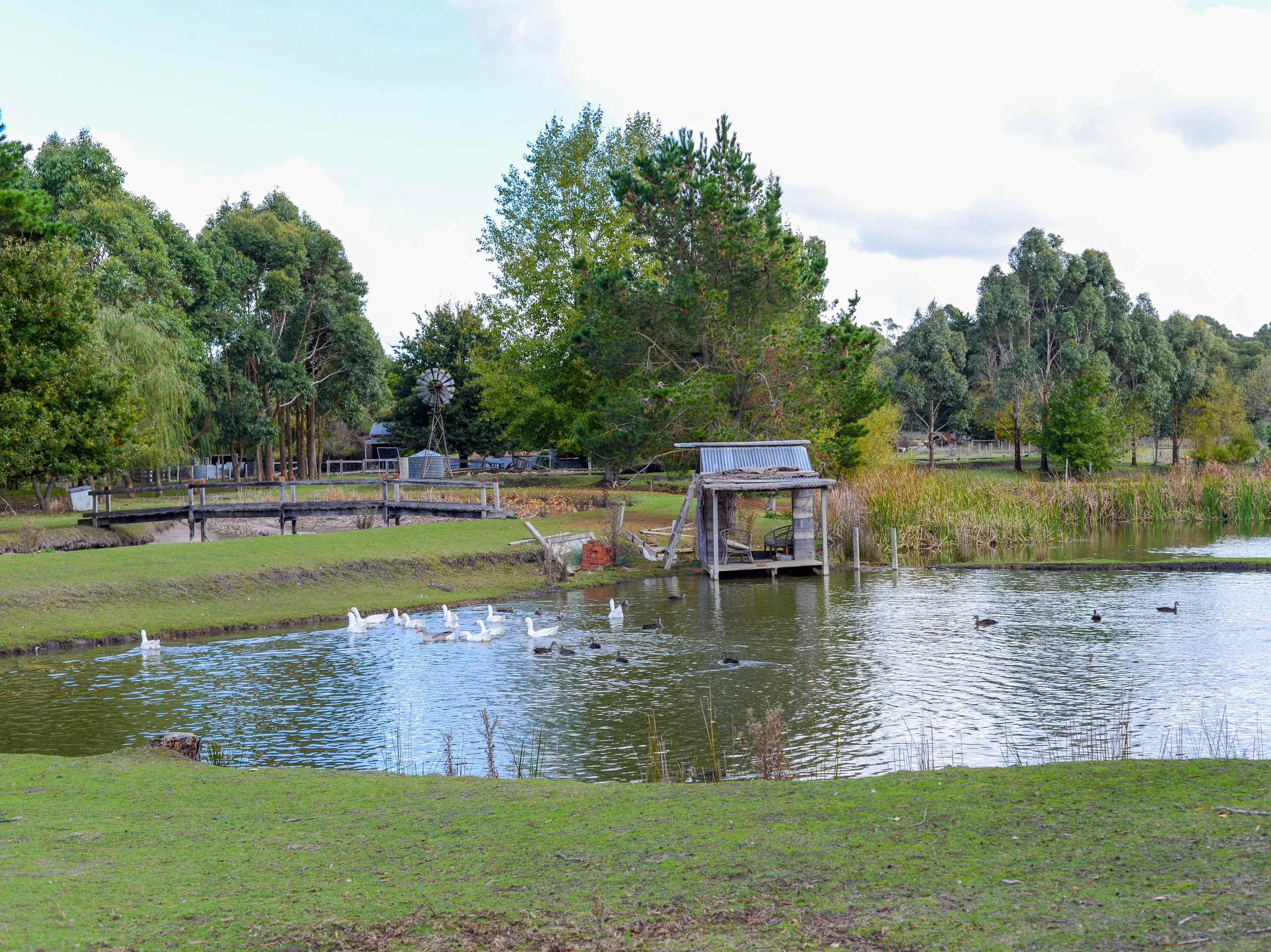 DSC_9900.jpg