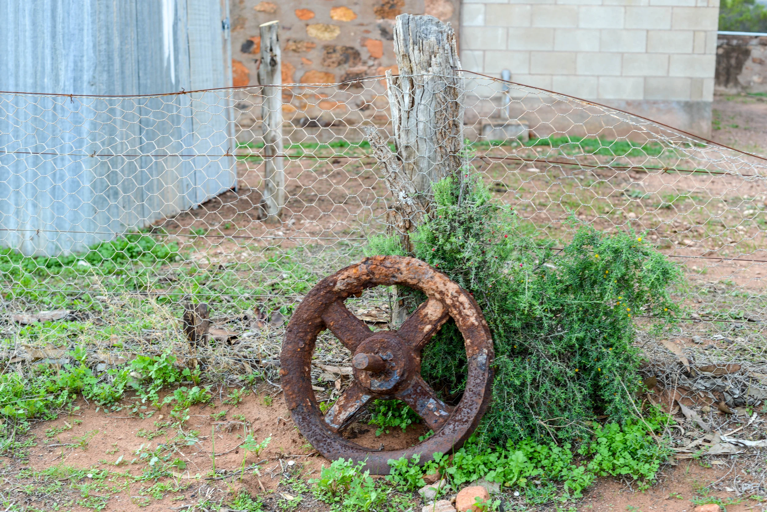 DSC_0104.jpg