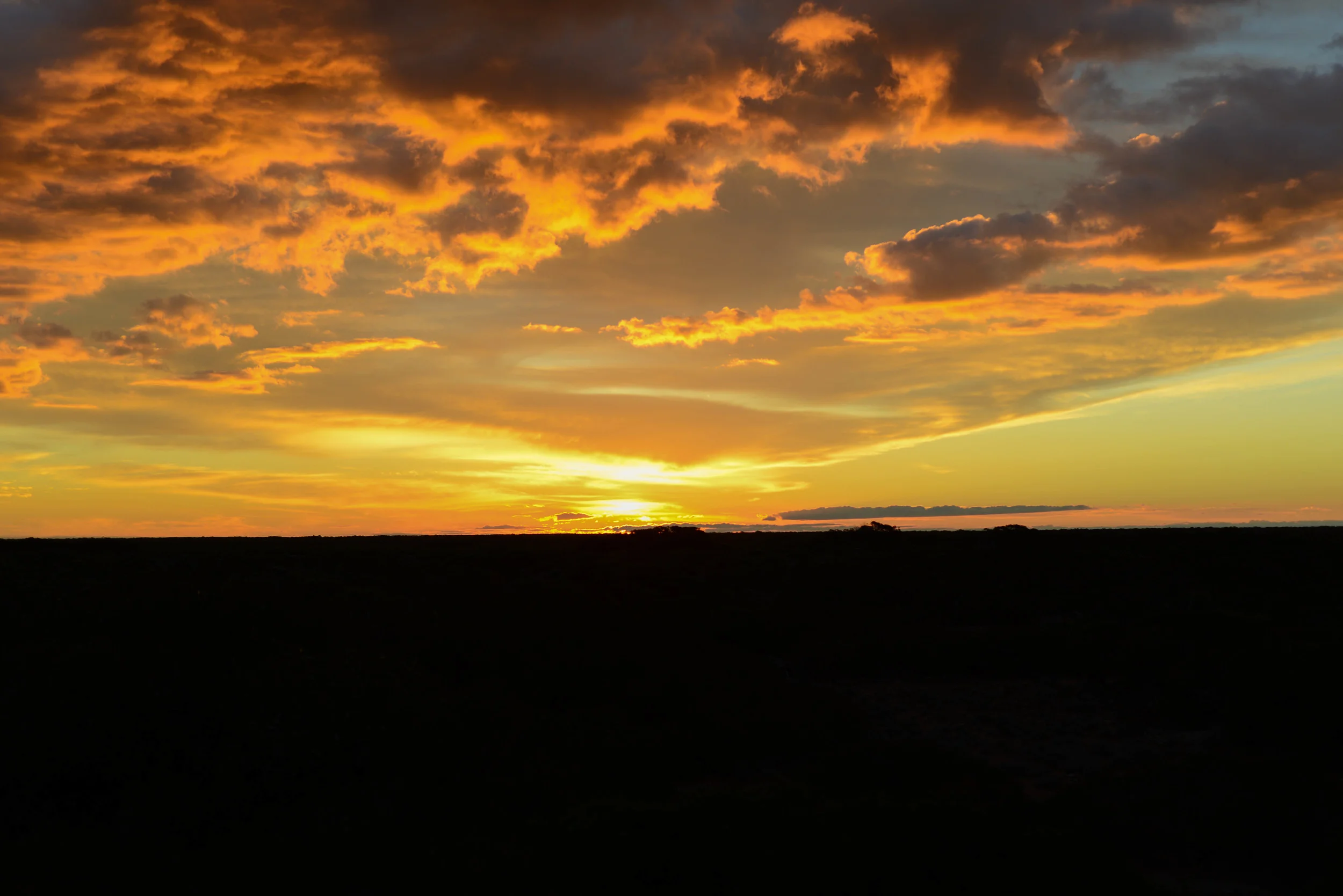 DSC_2363.jpg