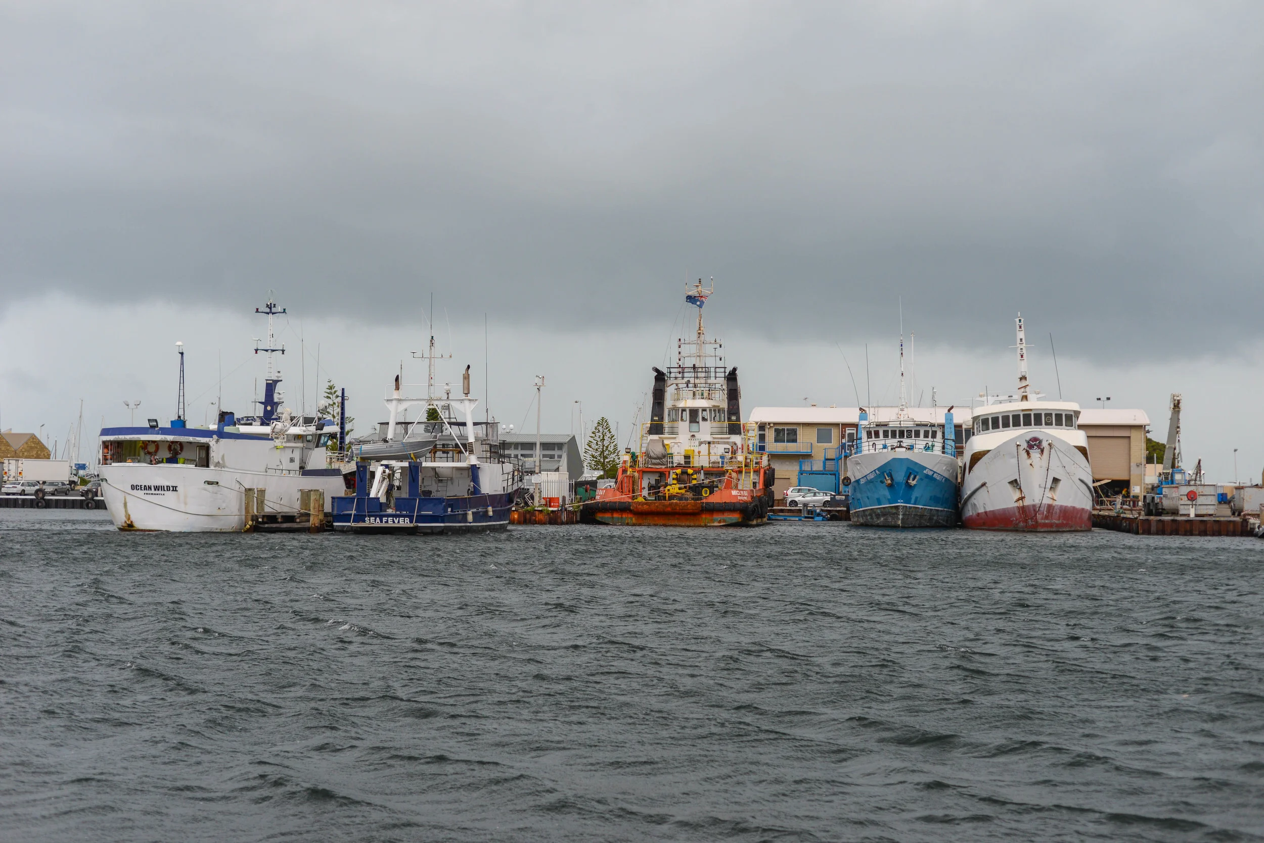 DSC_0795.jpg