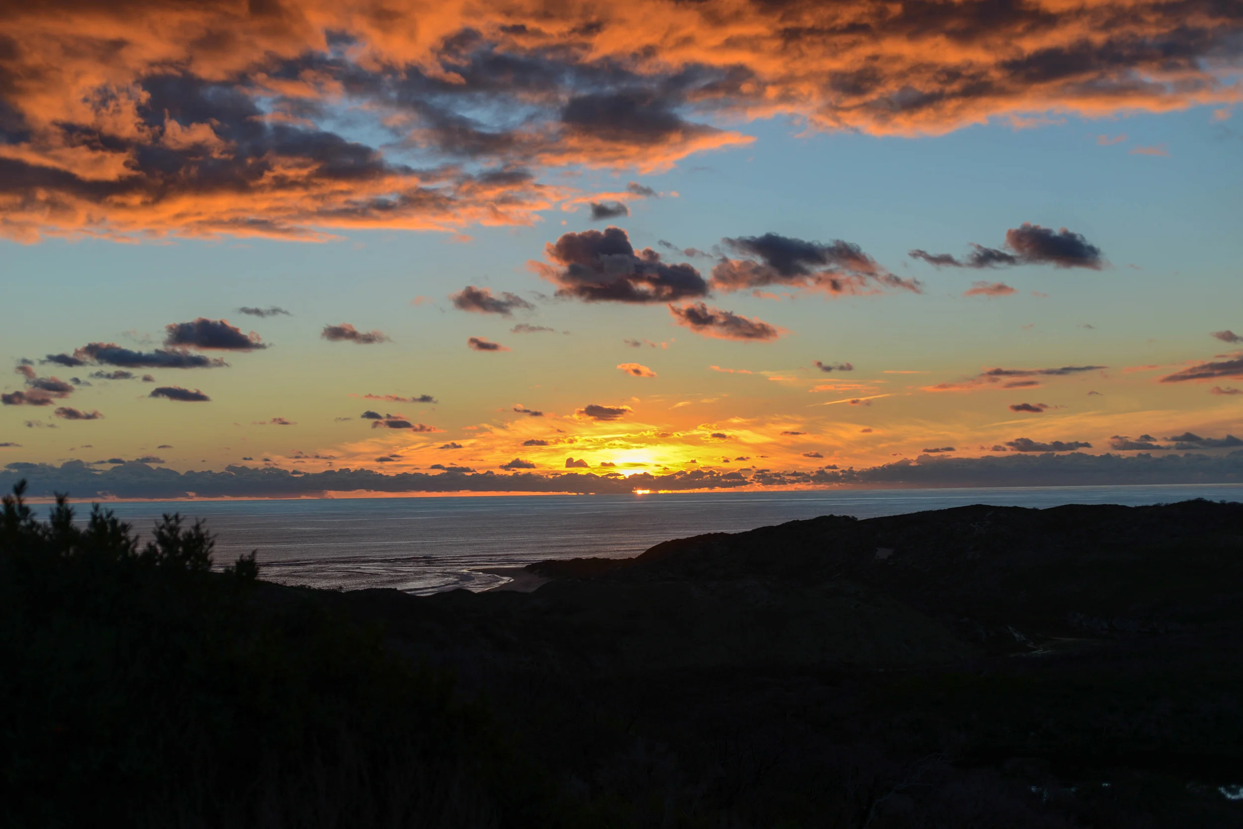 DSC_1541.jpg