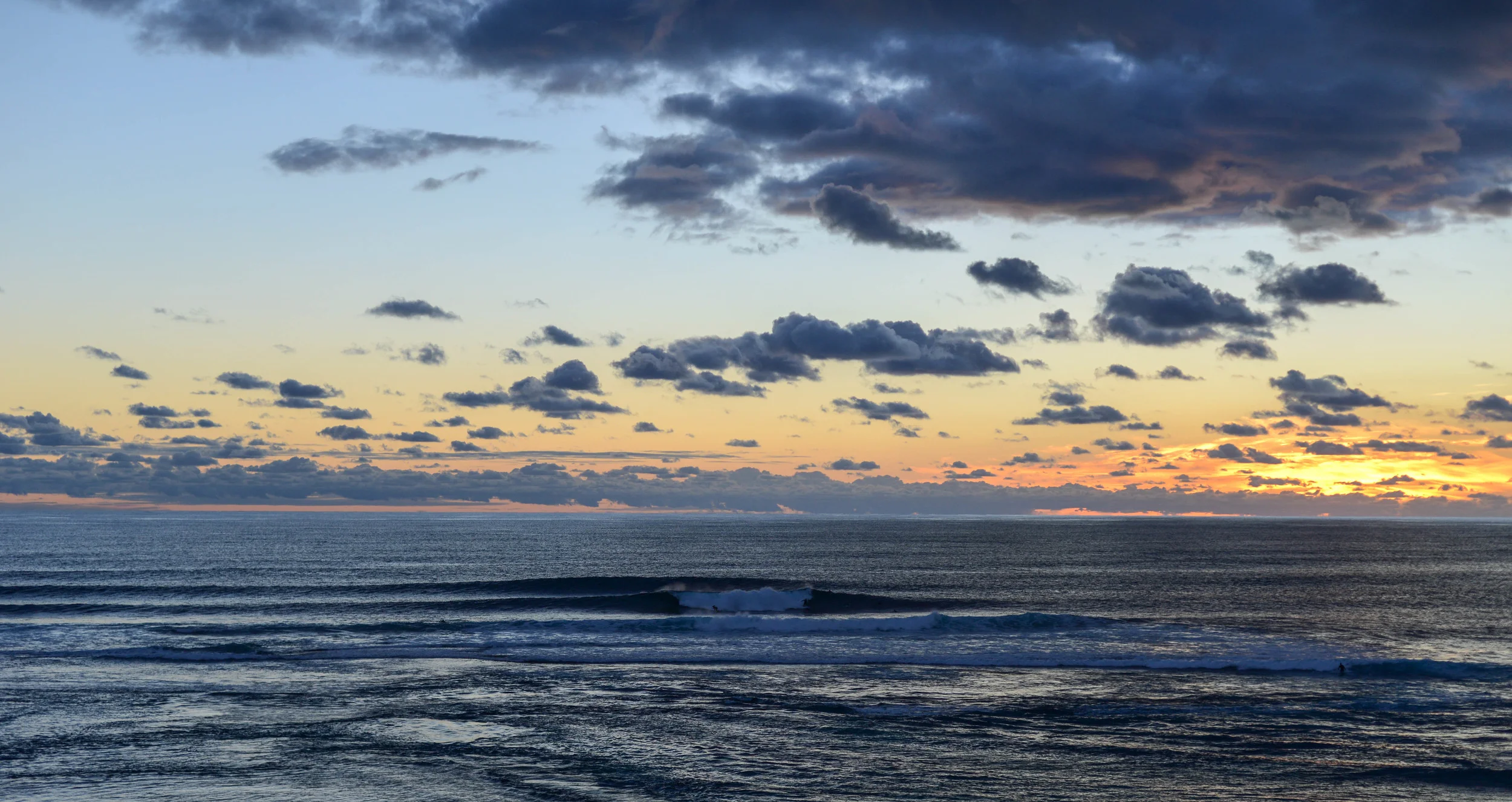 DSC_1553.jpg
