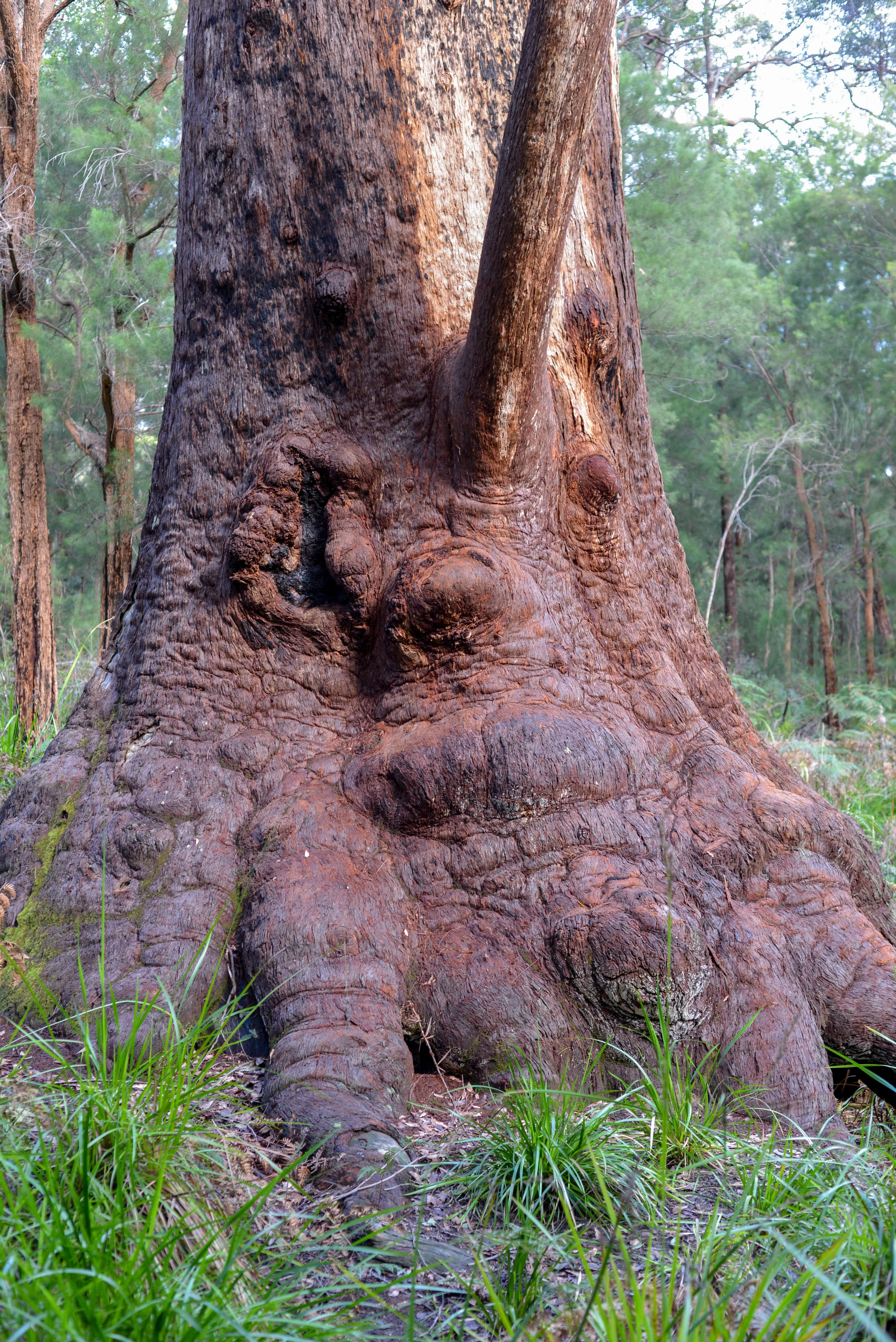 Can you see the face?
