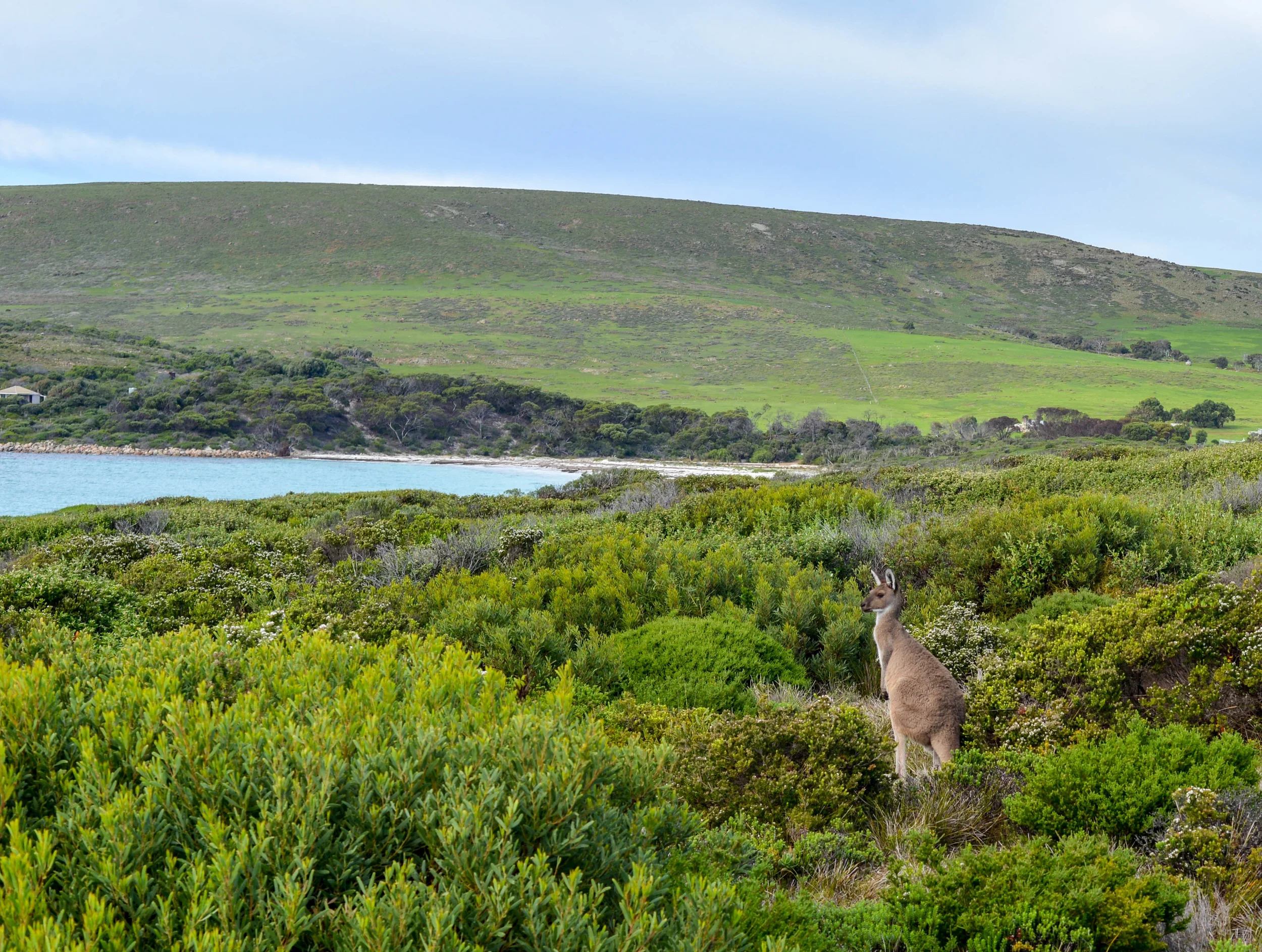 DSC_2137.jpg