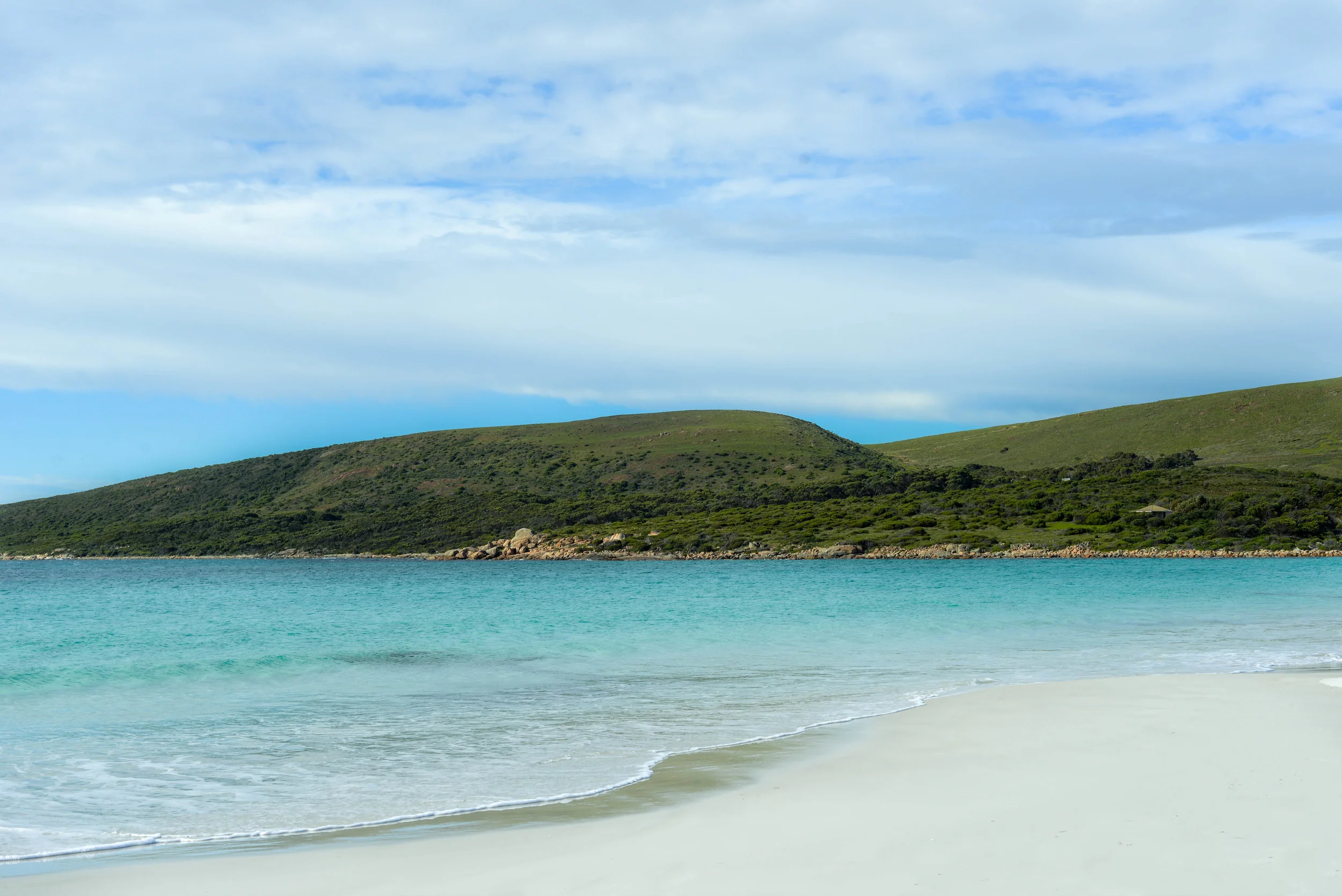 DSC_2151.jpg