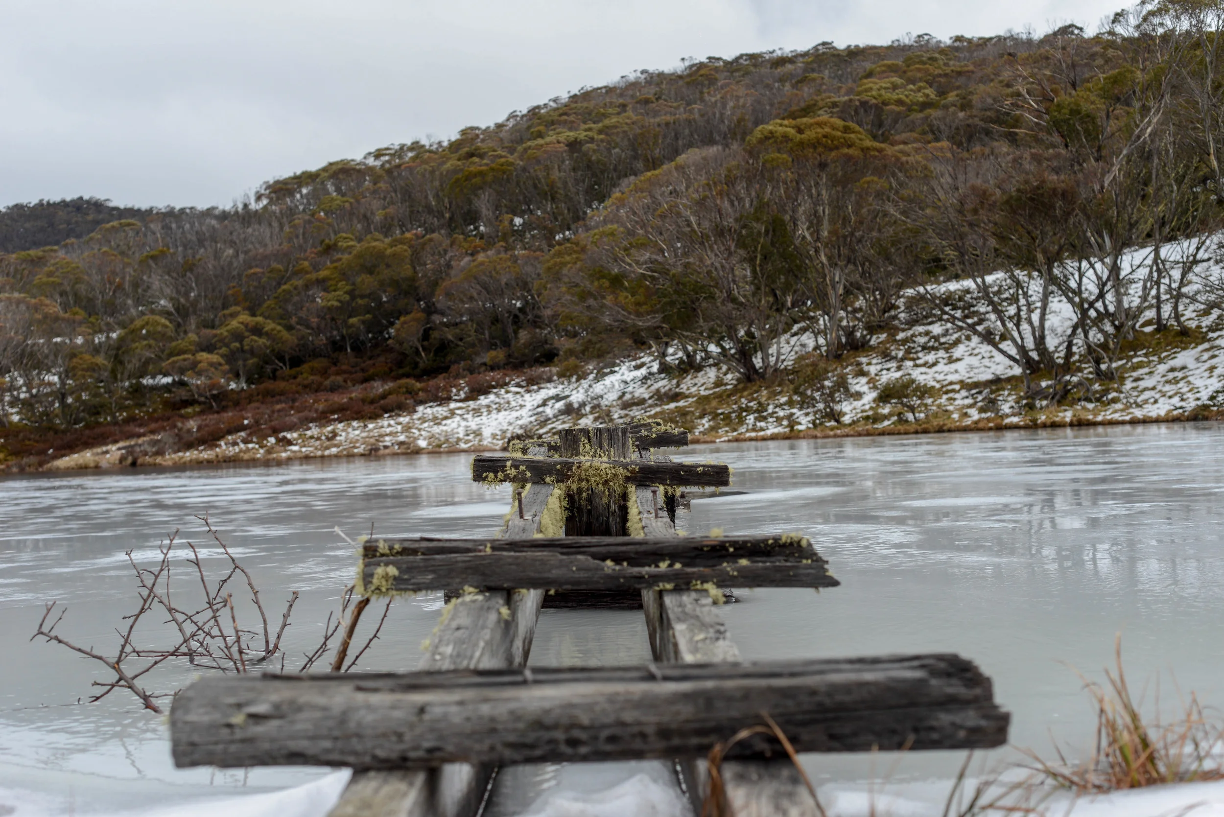 DSC_5670.jpg